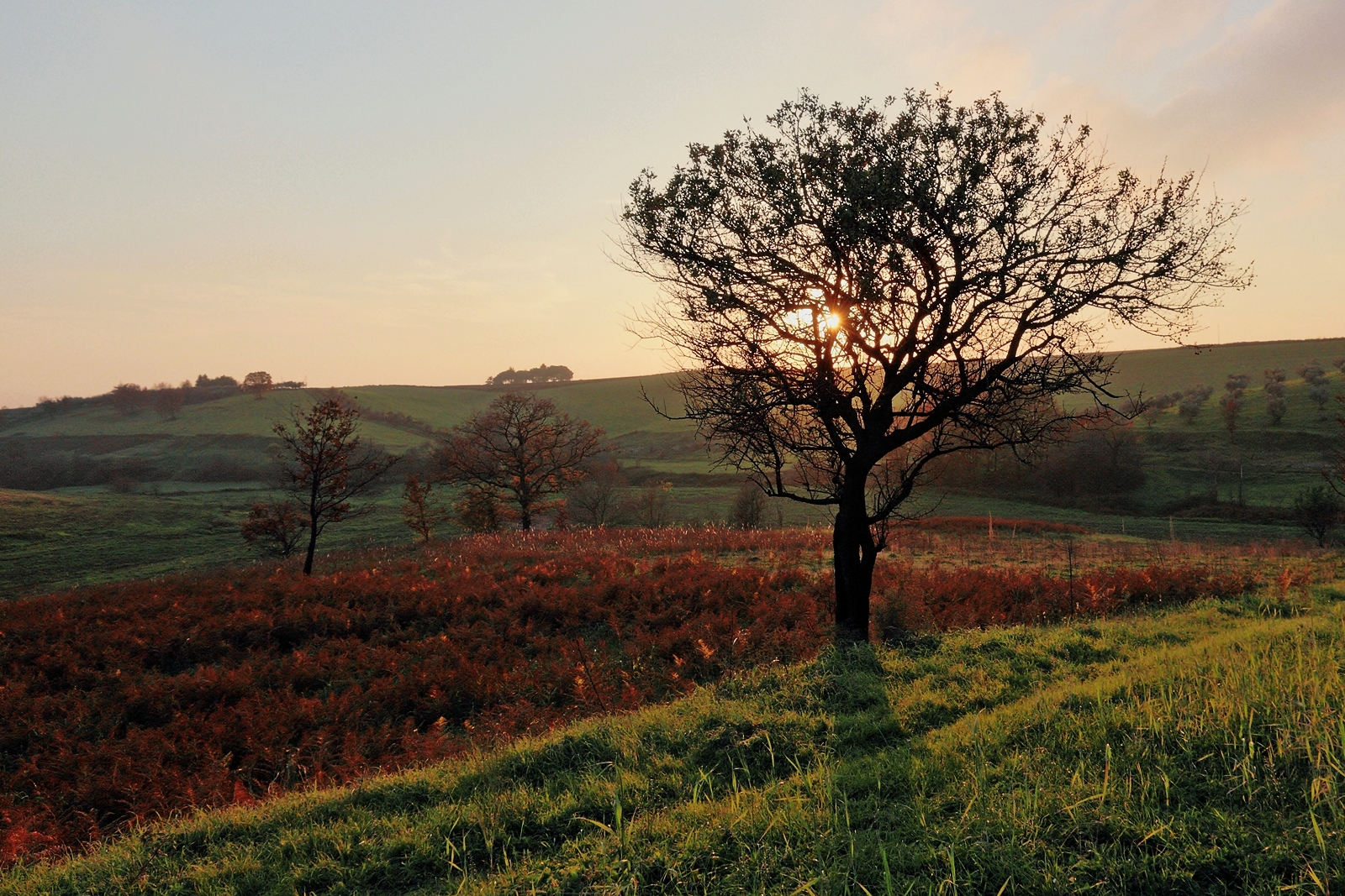 Campagna al tramonto