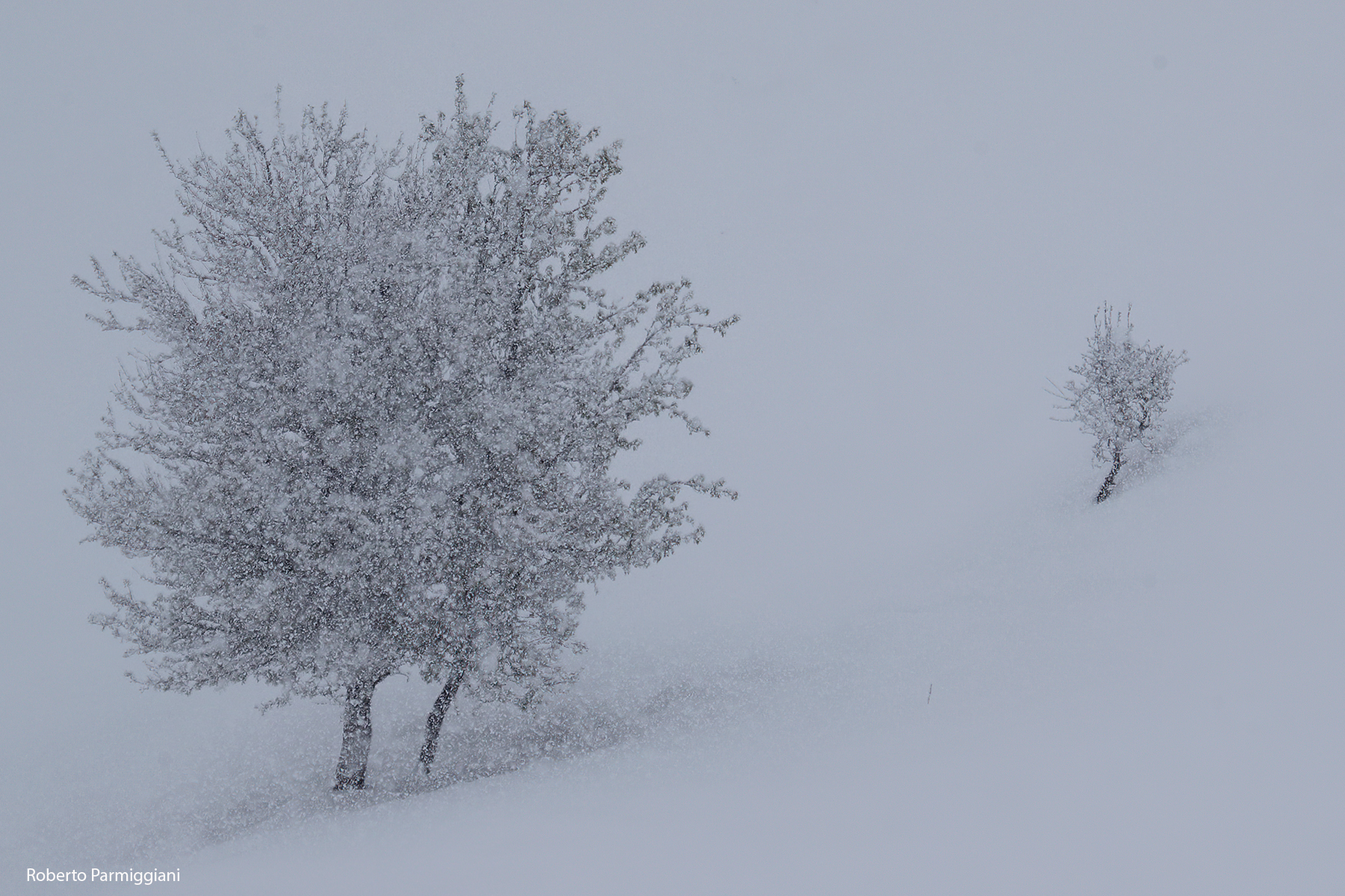 Grafismi inverno-primaverili