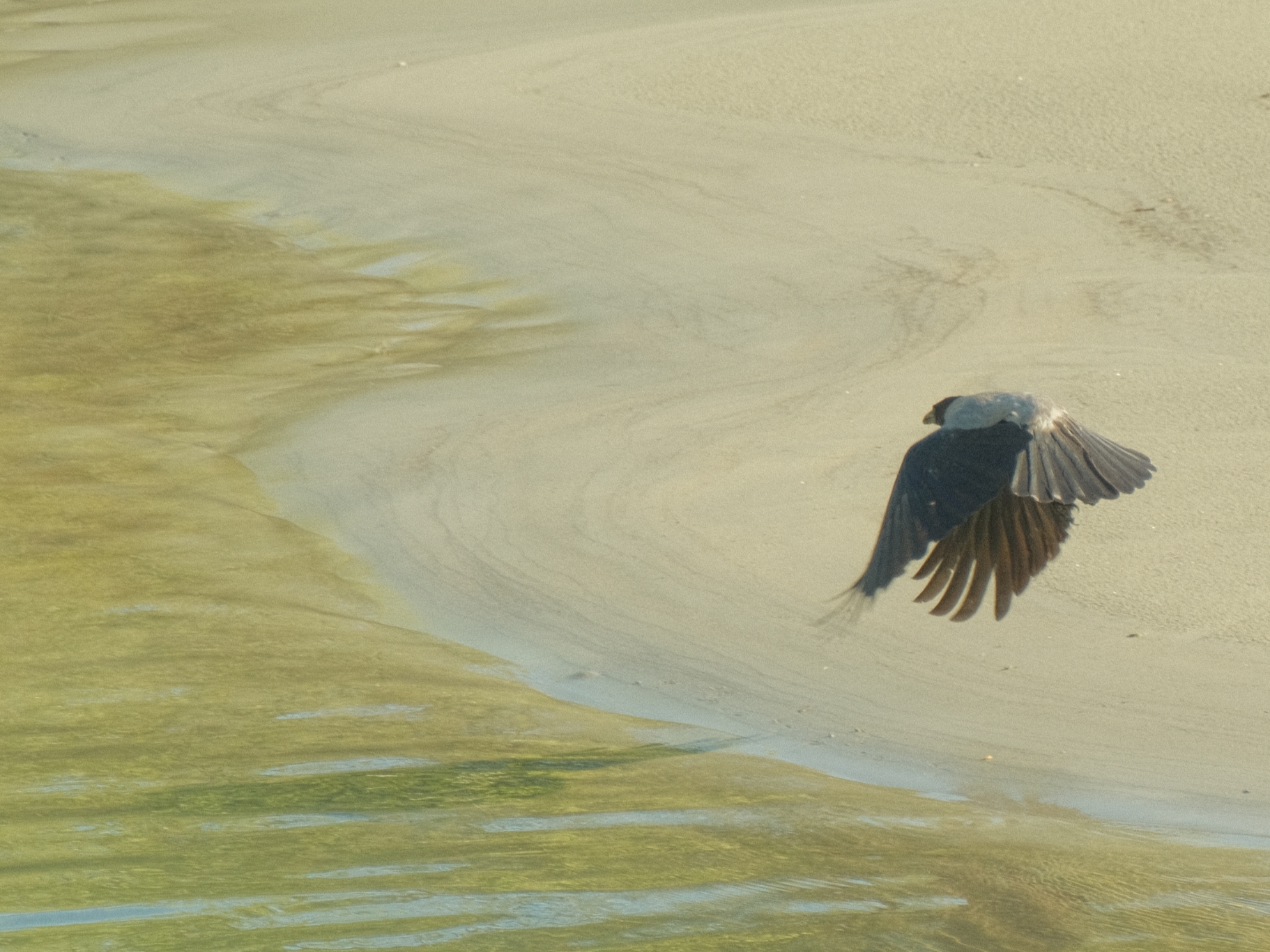 In volo