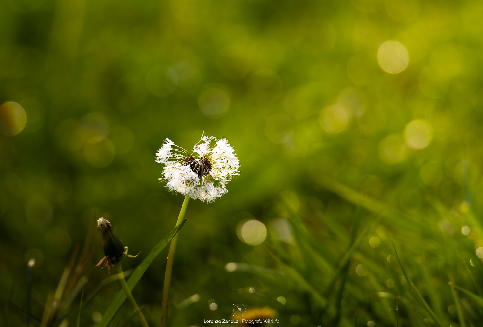 Alle prime luci dell'alba