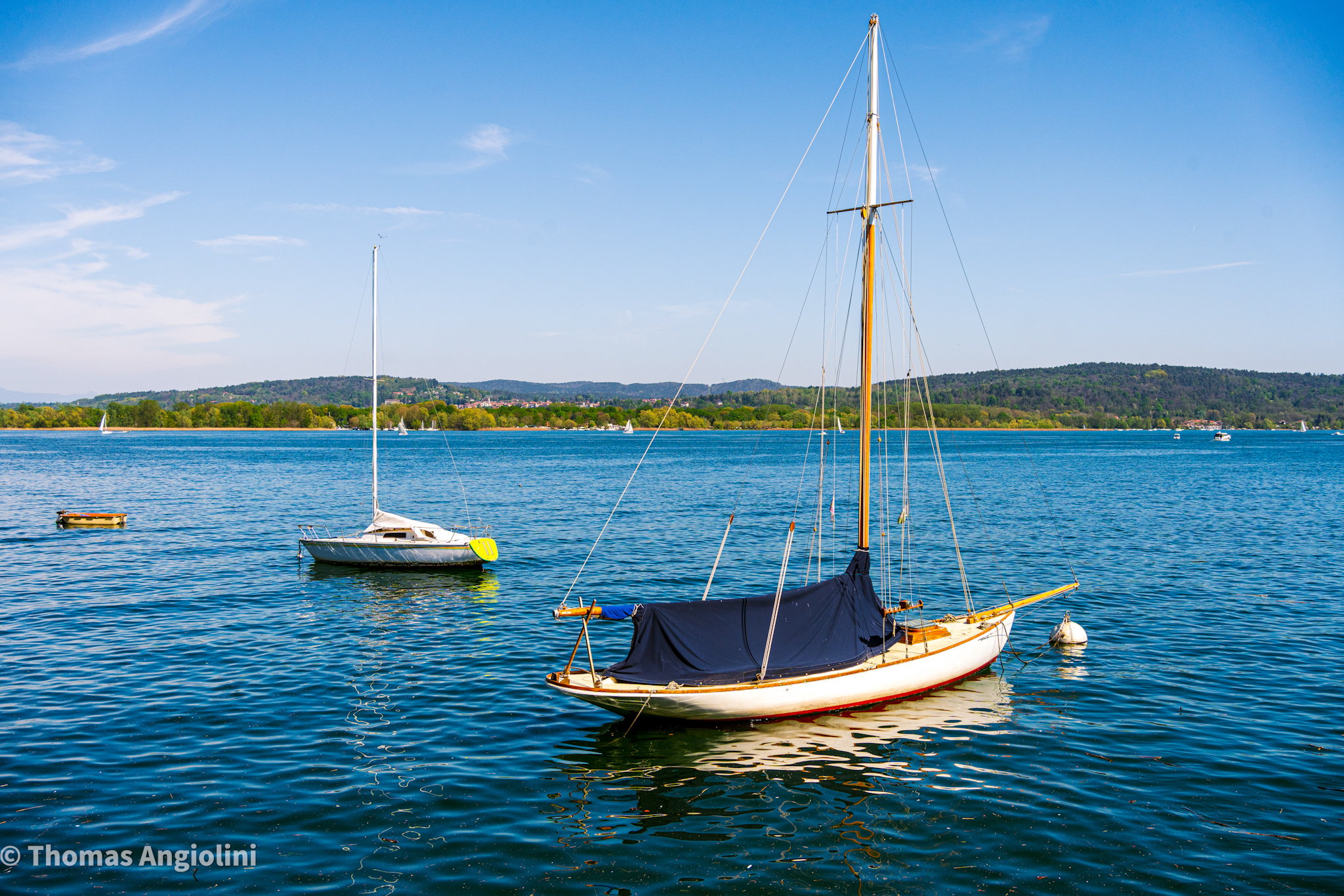 Arona
