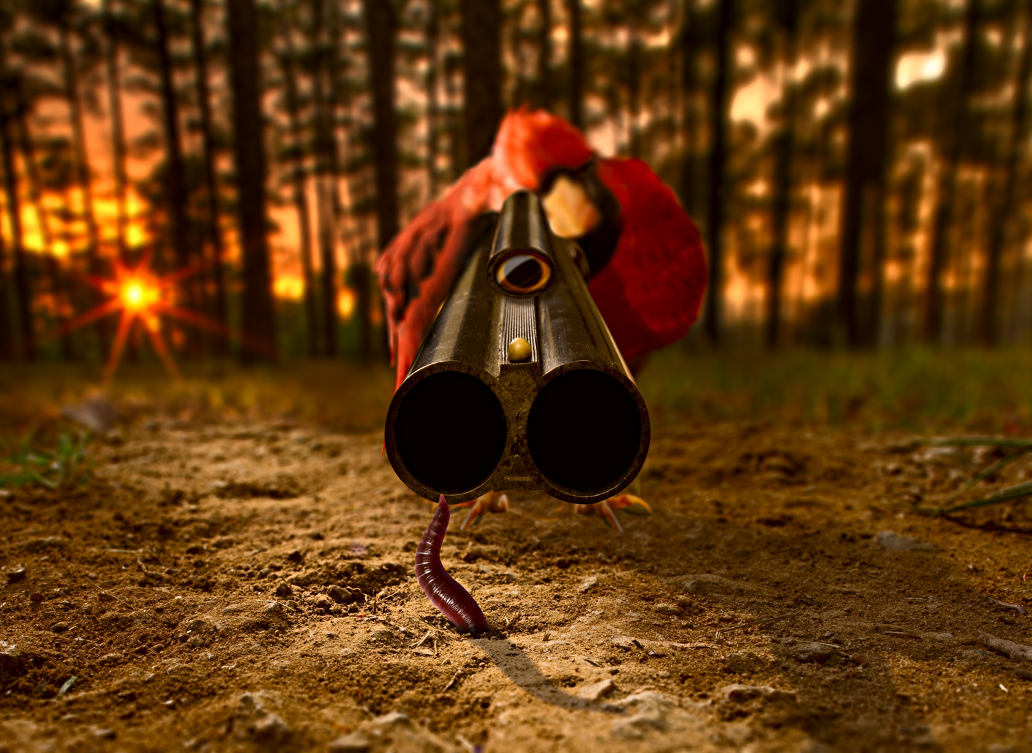 early bird ottiene il worm