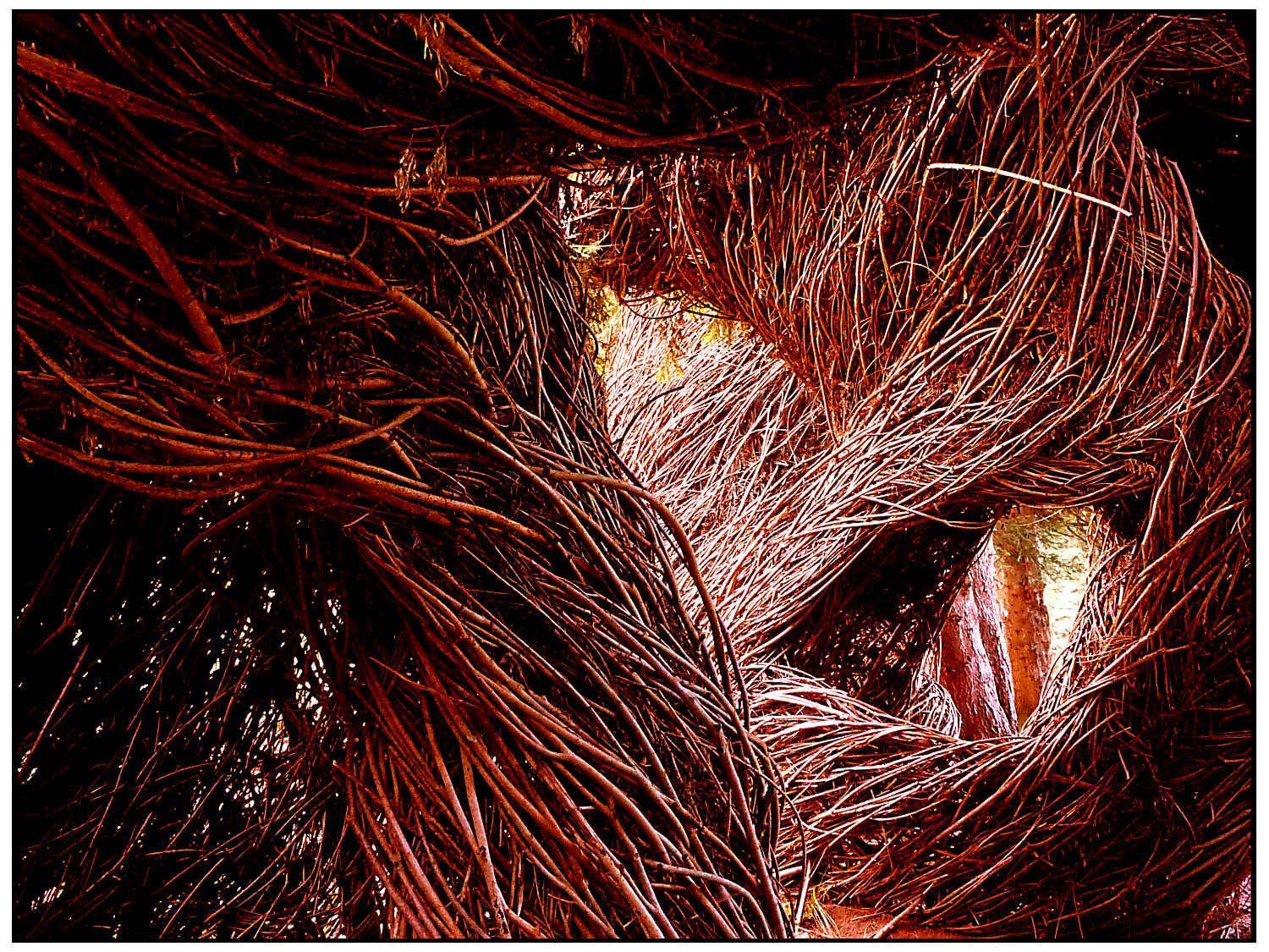 Antelope canyon me too.