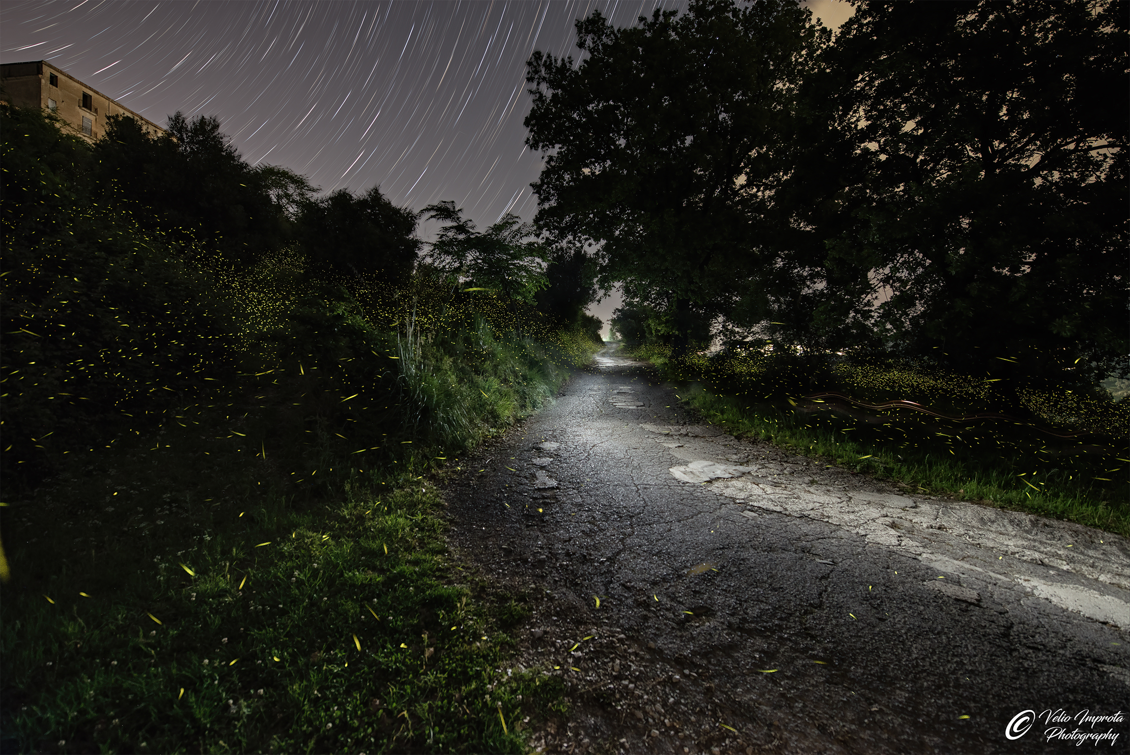 Fireflies on the way home