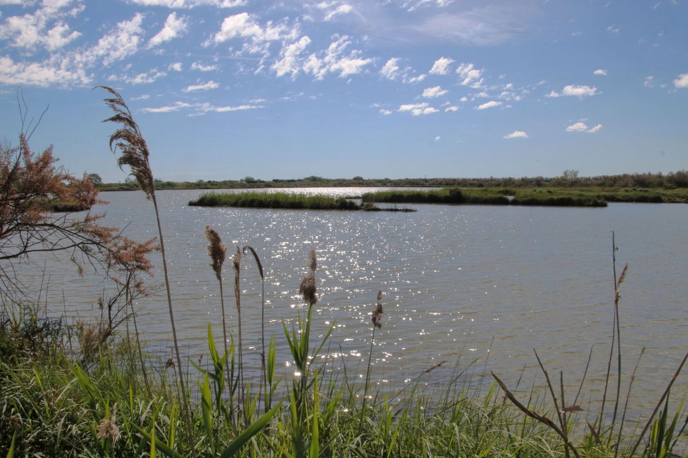 Il mattino ha l'oro in bocca