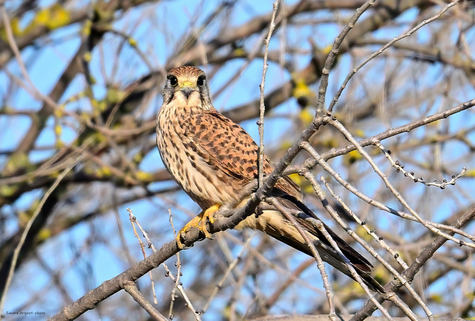 Perché mi guardi così?