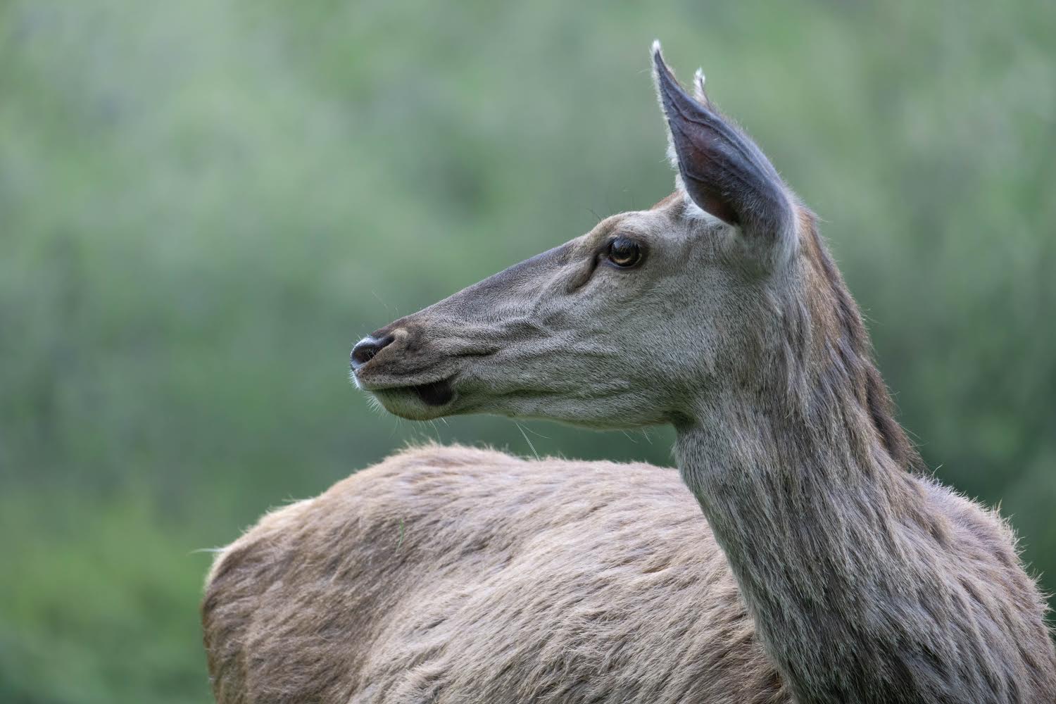 Aiming for the summer