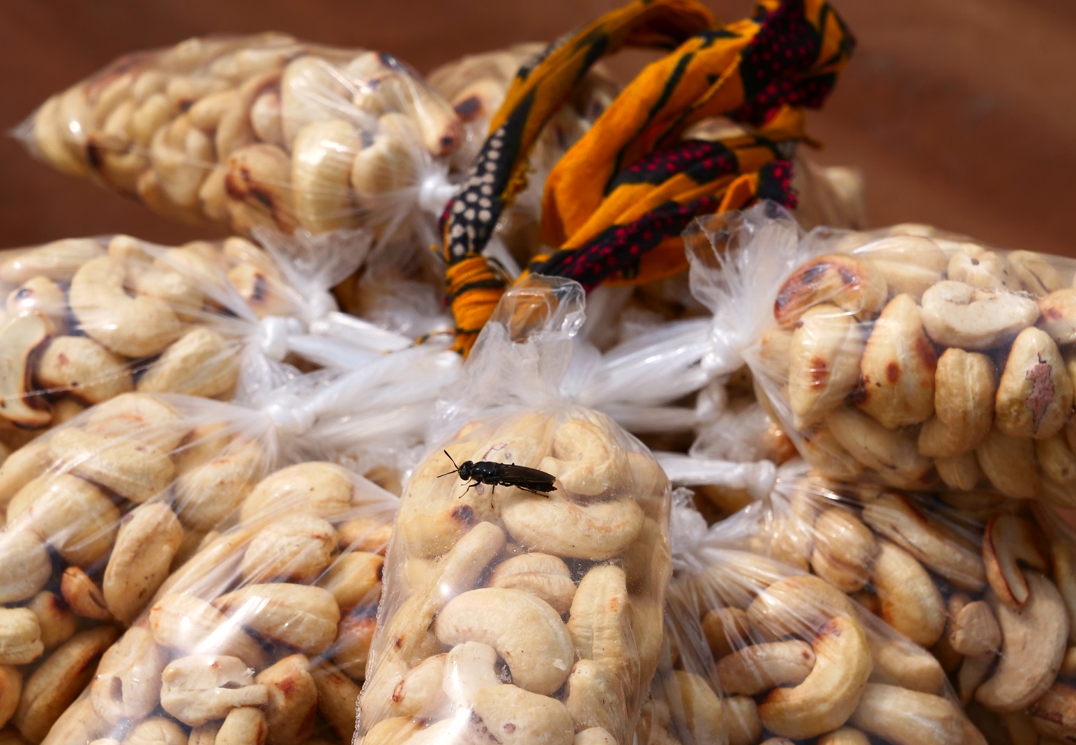 Cashew nuts with guest
