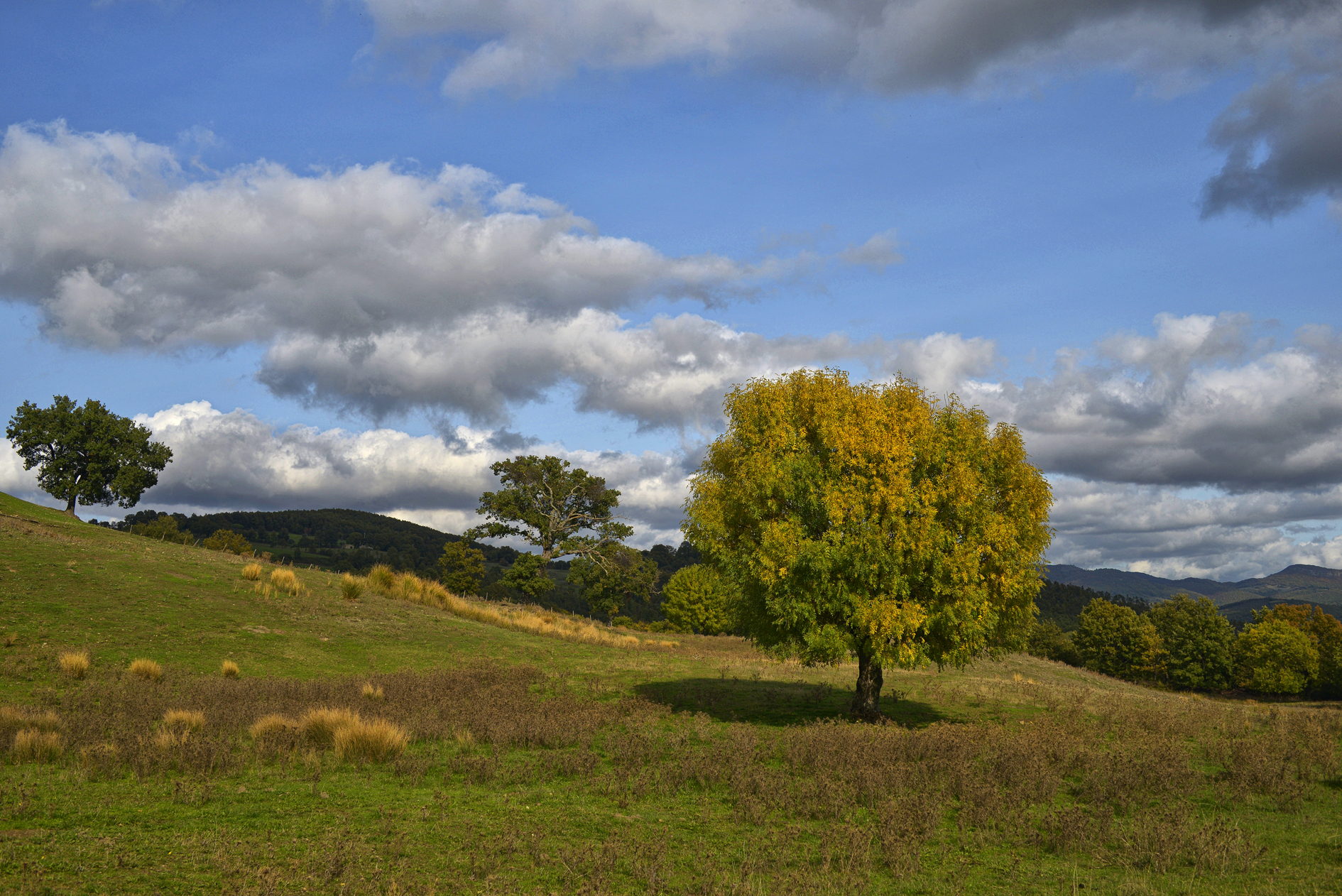 Untitled Photo