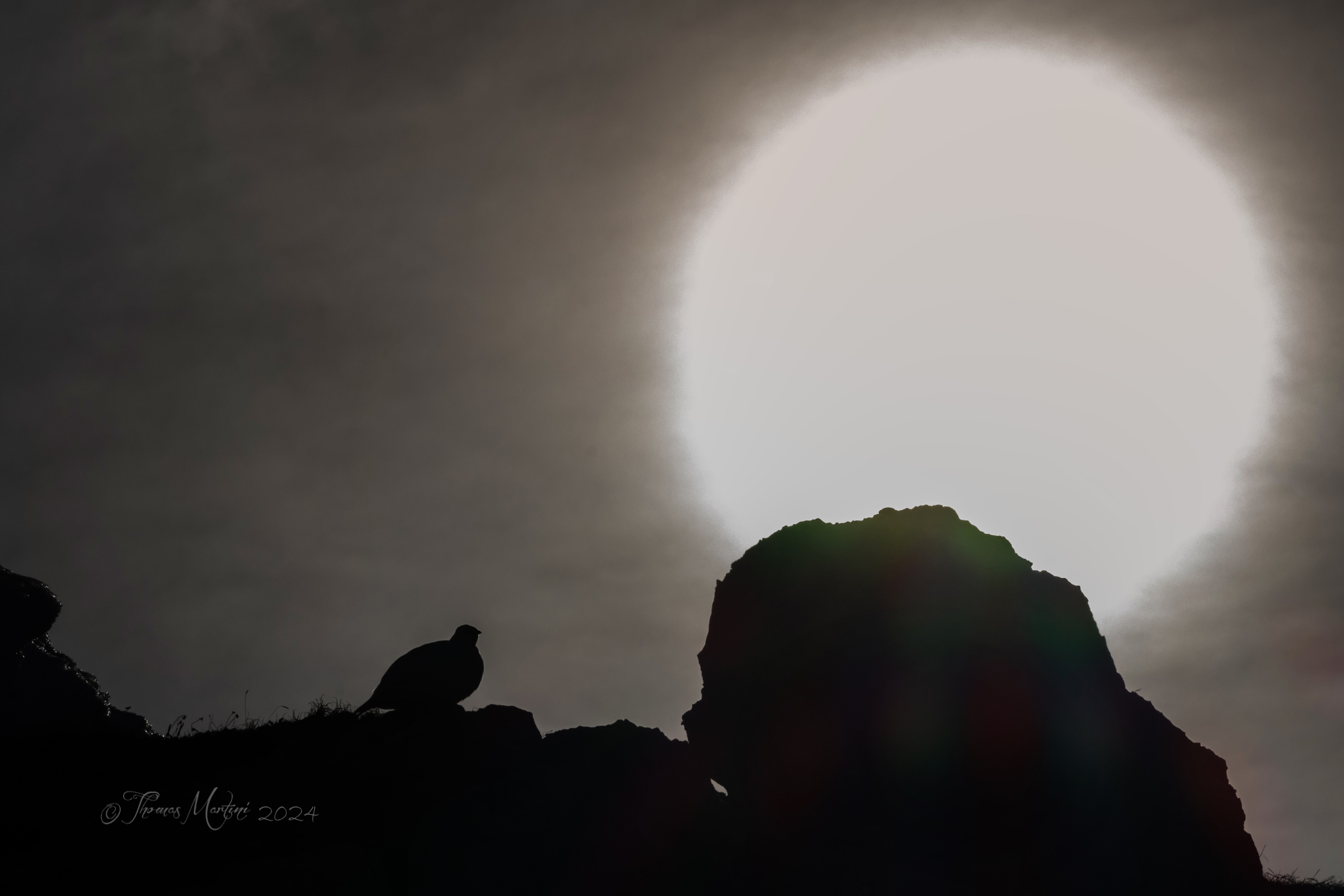 La Bianca... ...Nera!