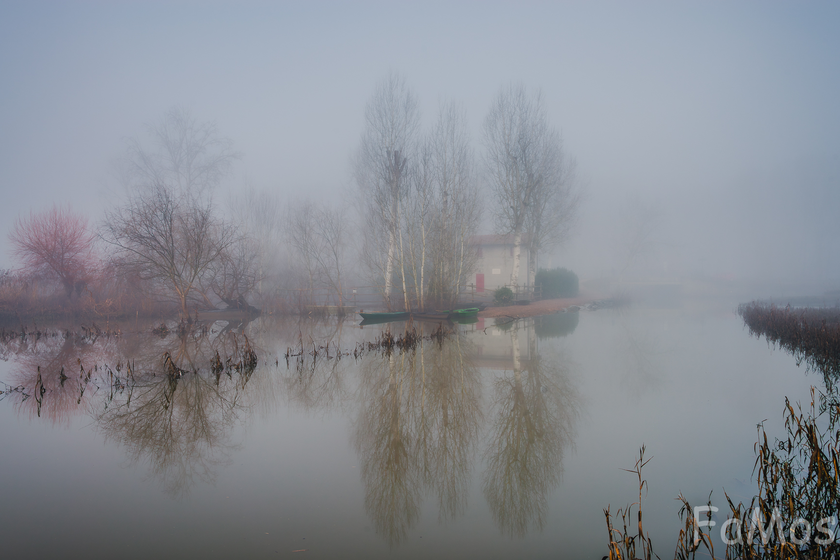 Nebbia mattutina al Padule