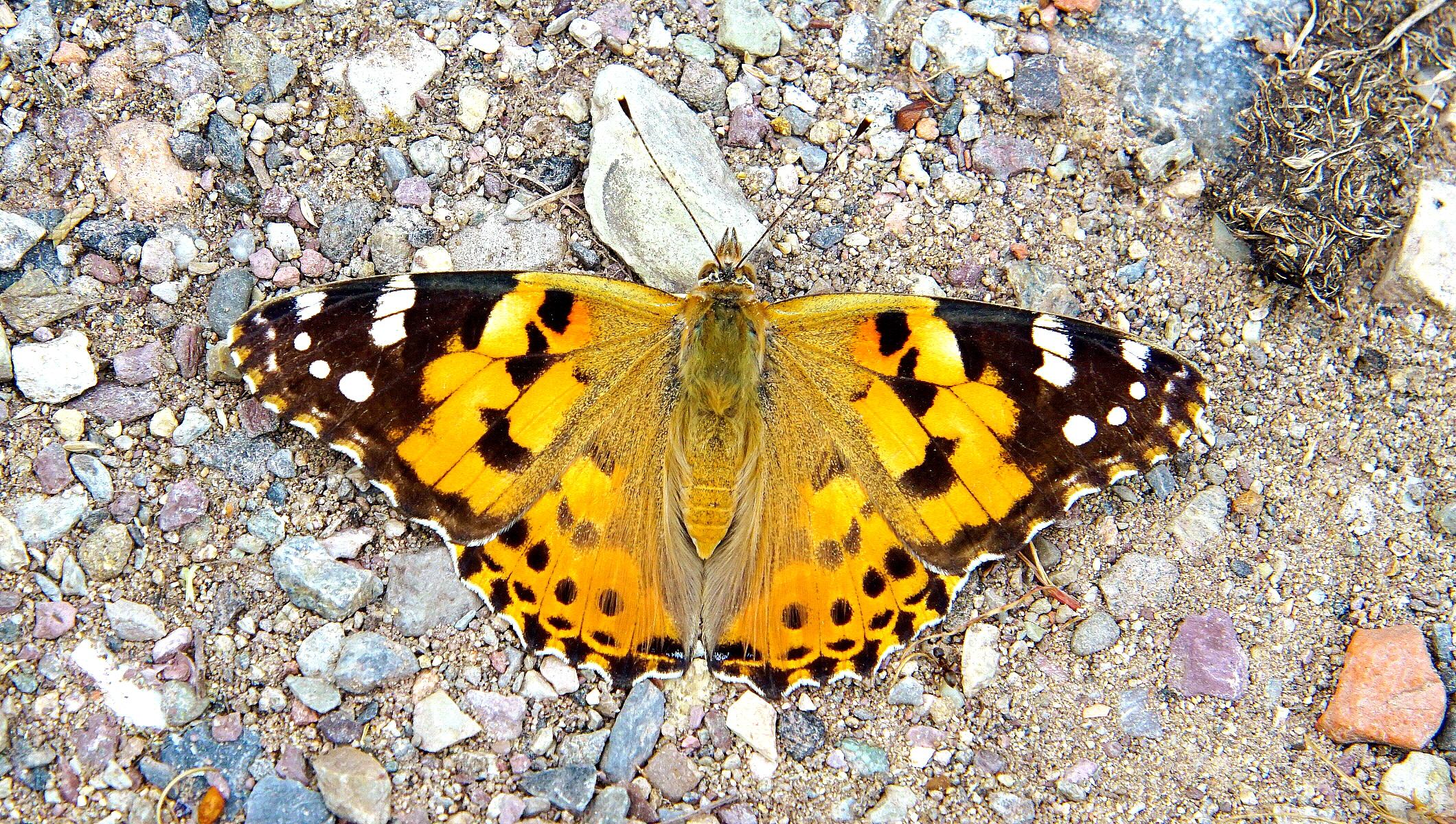 A few steps are always good!