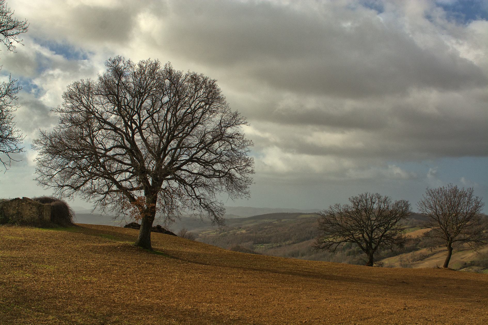 Untitled Photo