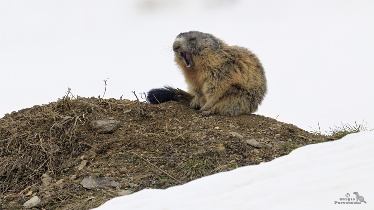 Quando ci si sveglia dopo una dormita di qualche mese