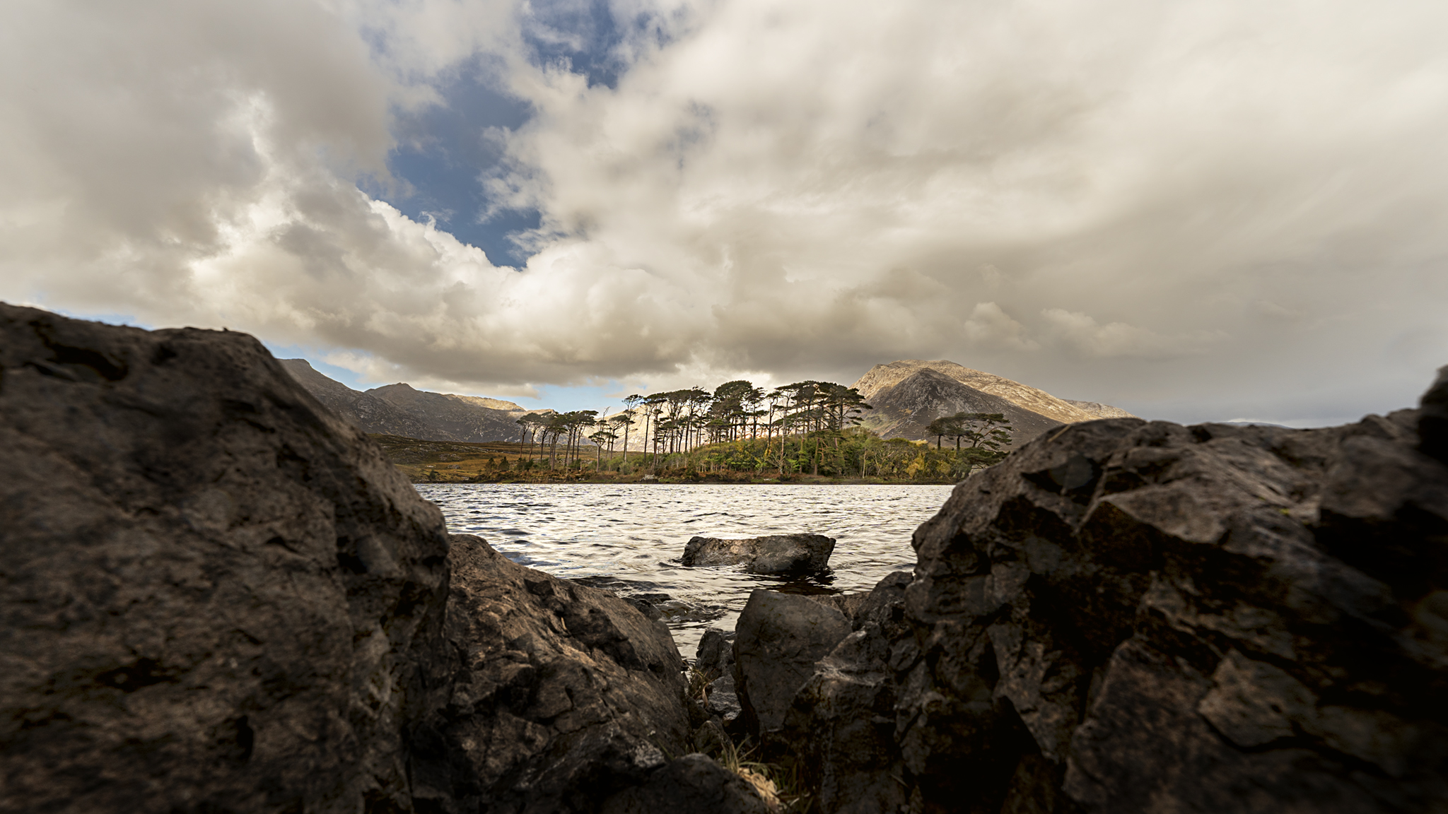 Pine Island, Connemara Park, Ireland