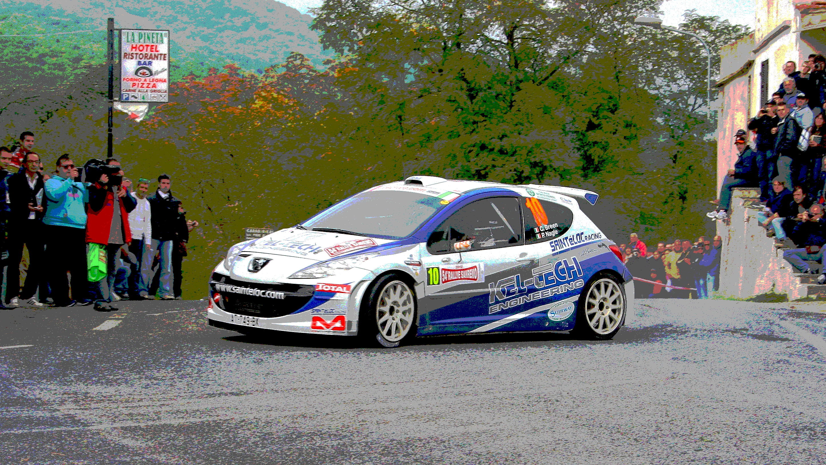 Rally Sanremo 2012-Peugeot 207 s2000