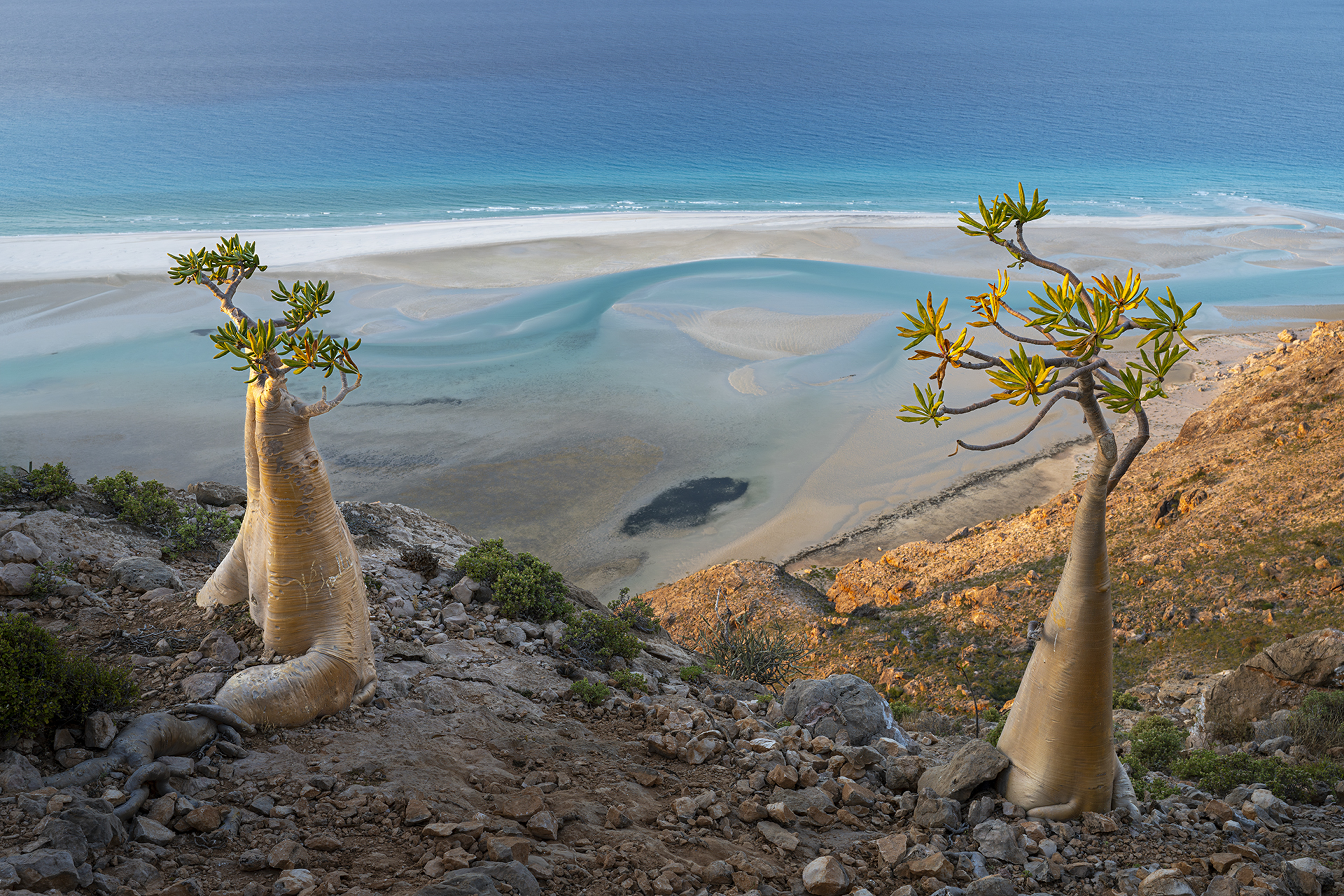 Socotra