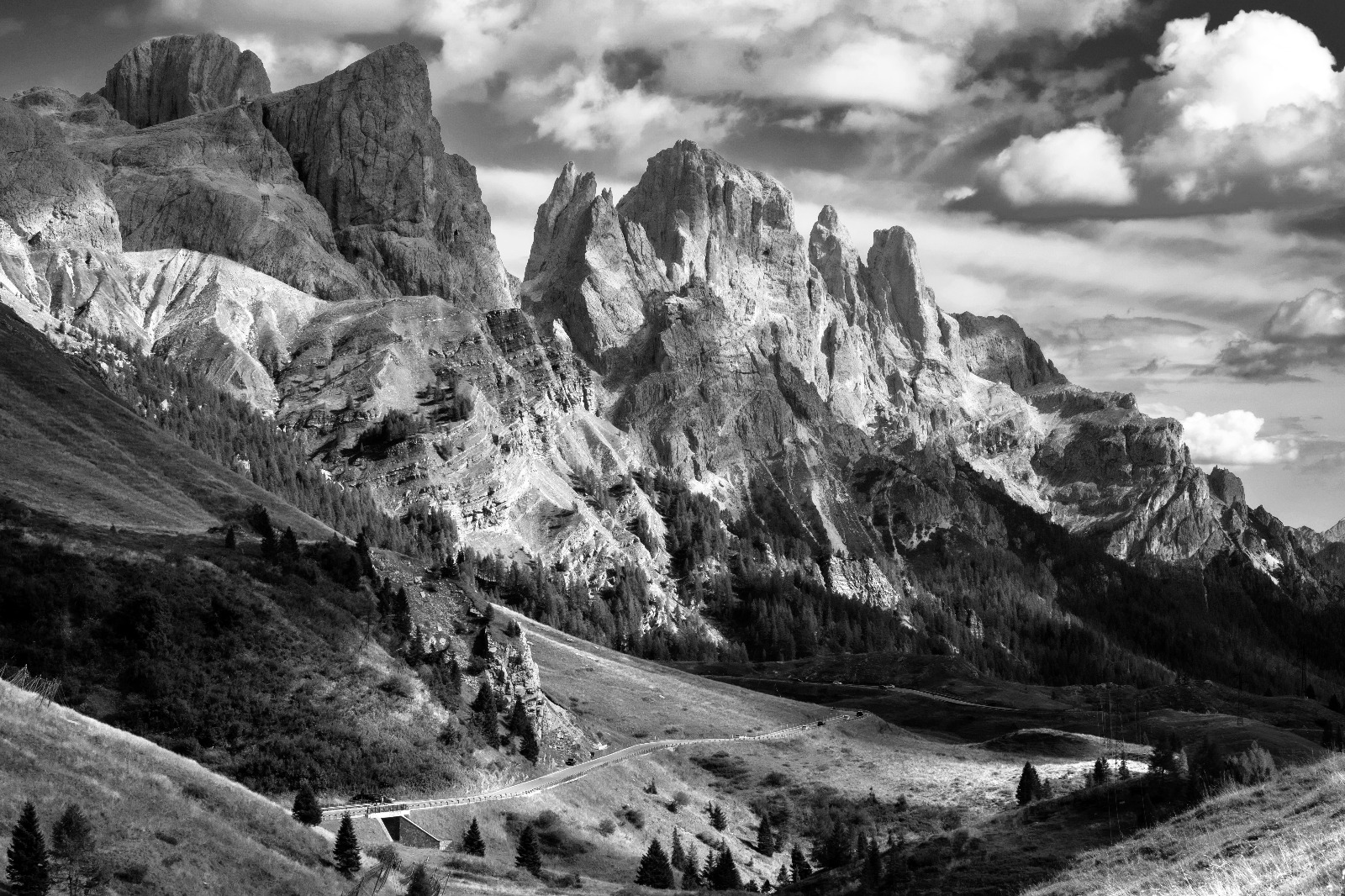Pale San Martino