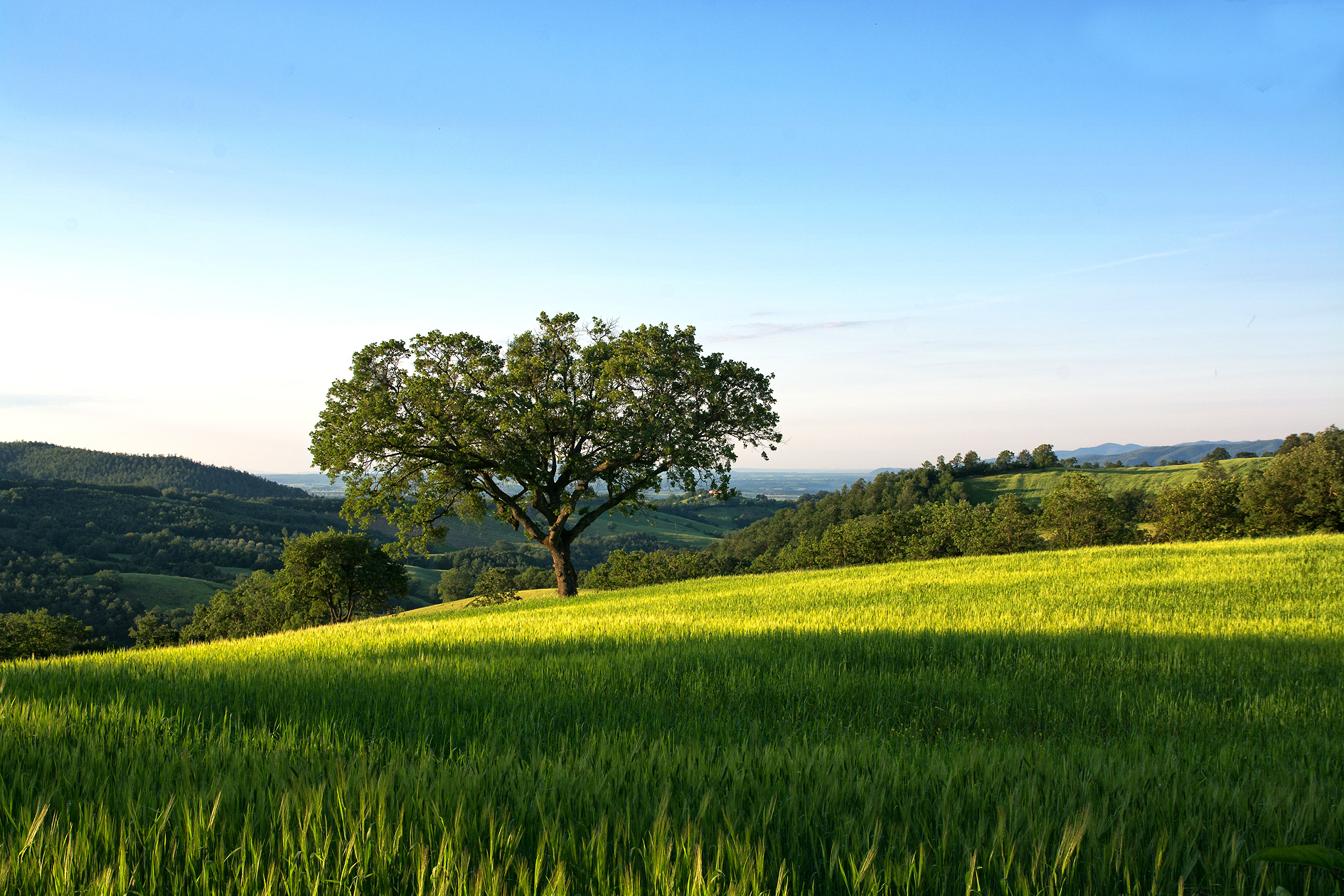Along the roads of Maremma