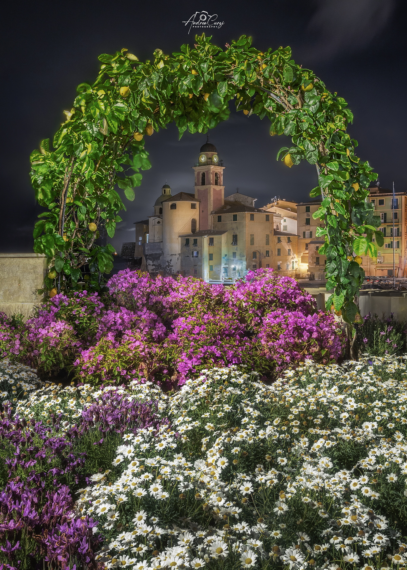Camogli framed among the flowers