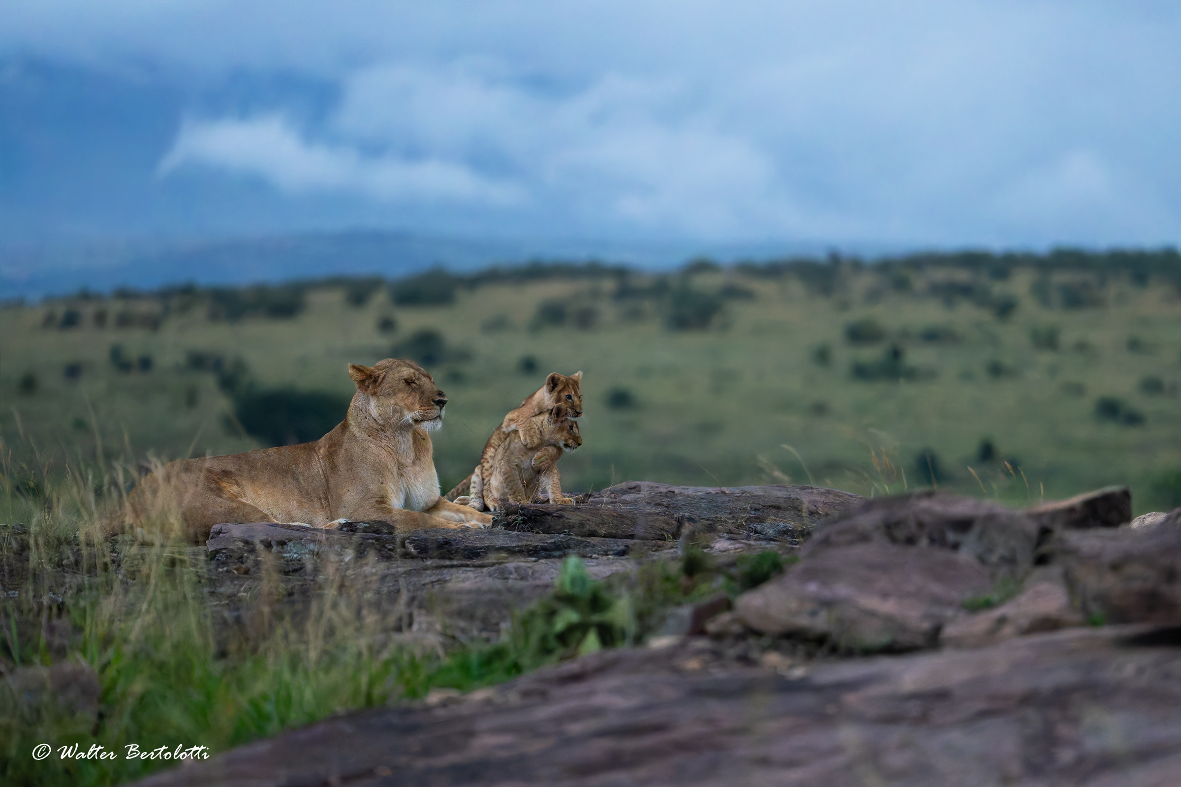 scende la sera sul mara