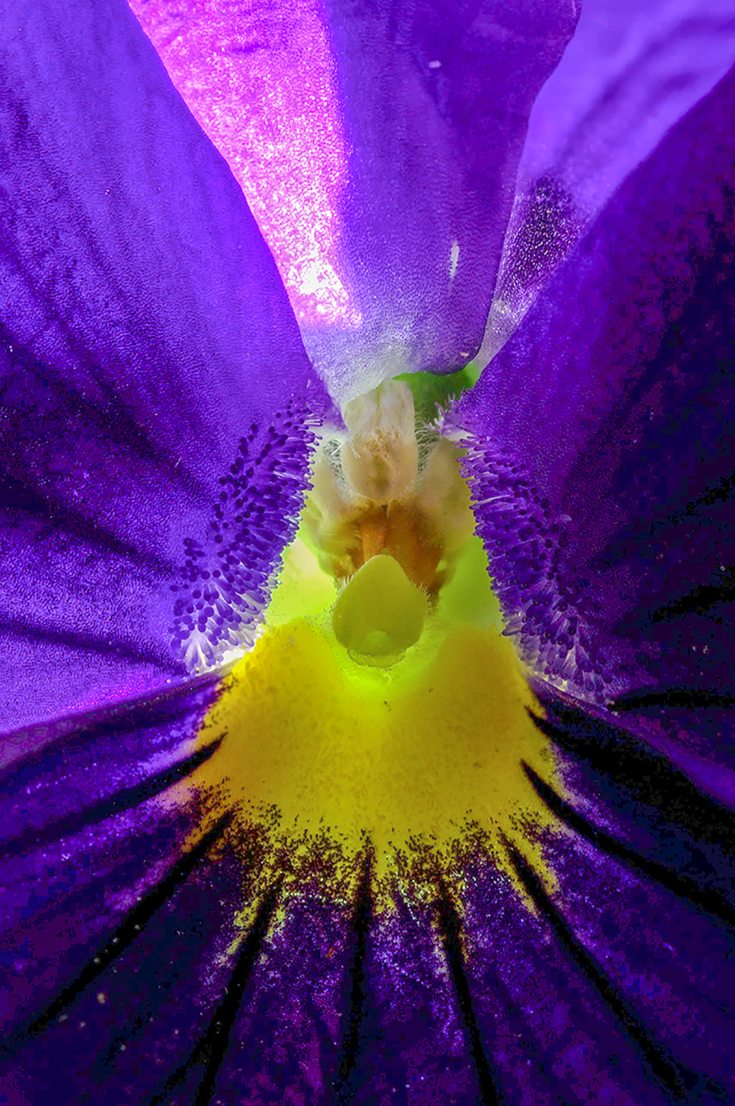 Nel profondo del cuore...