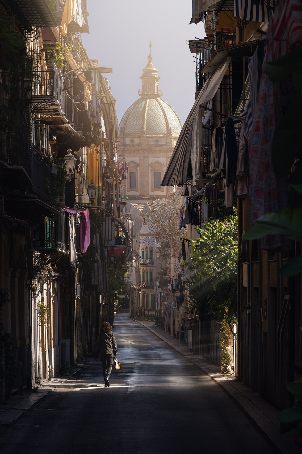 La Chiesa del Gesù di Casa Professa, spicca tra i vic...