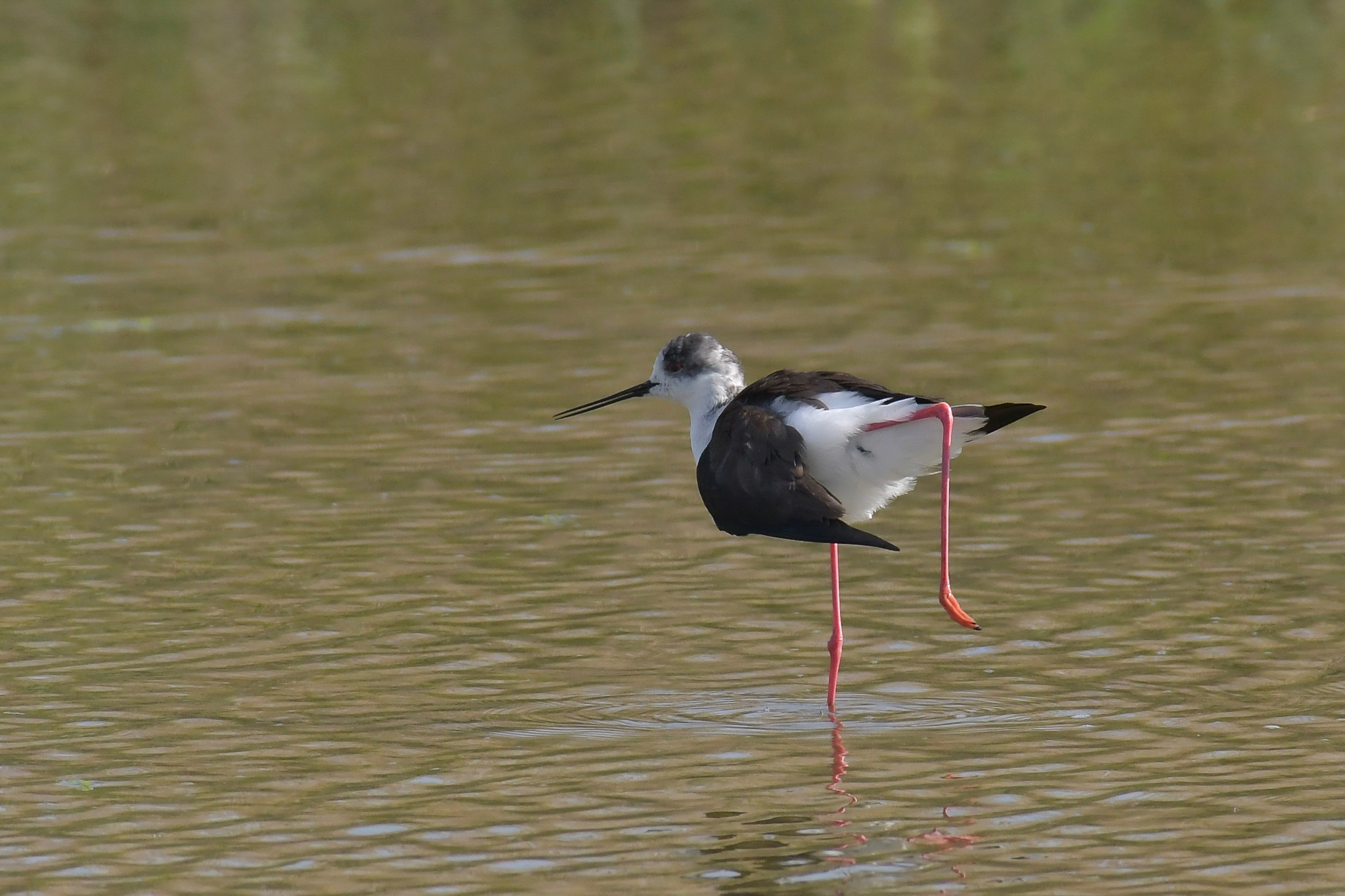 Plastic installation