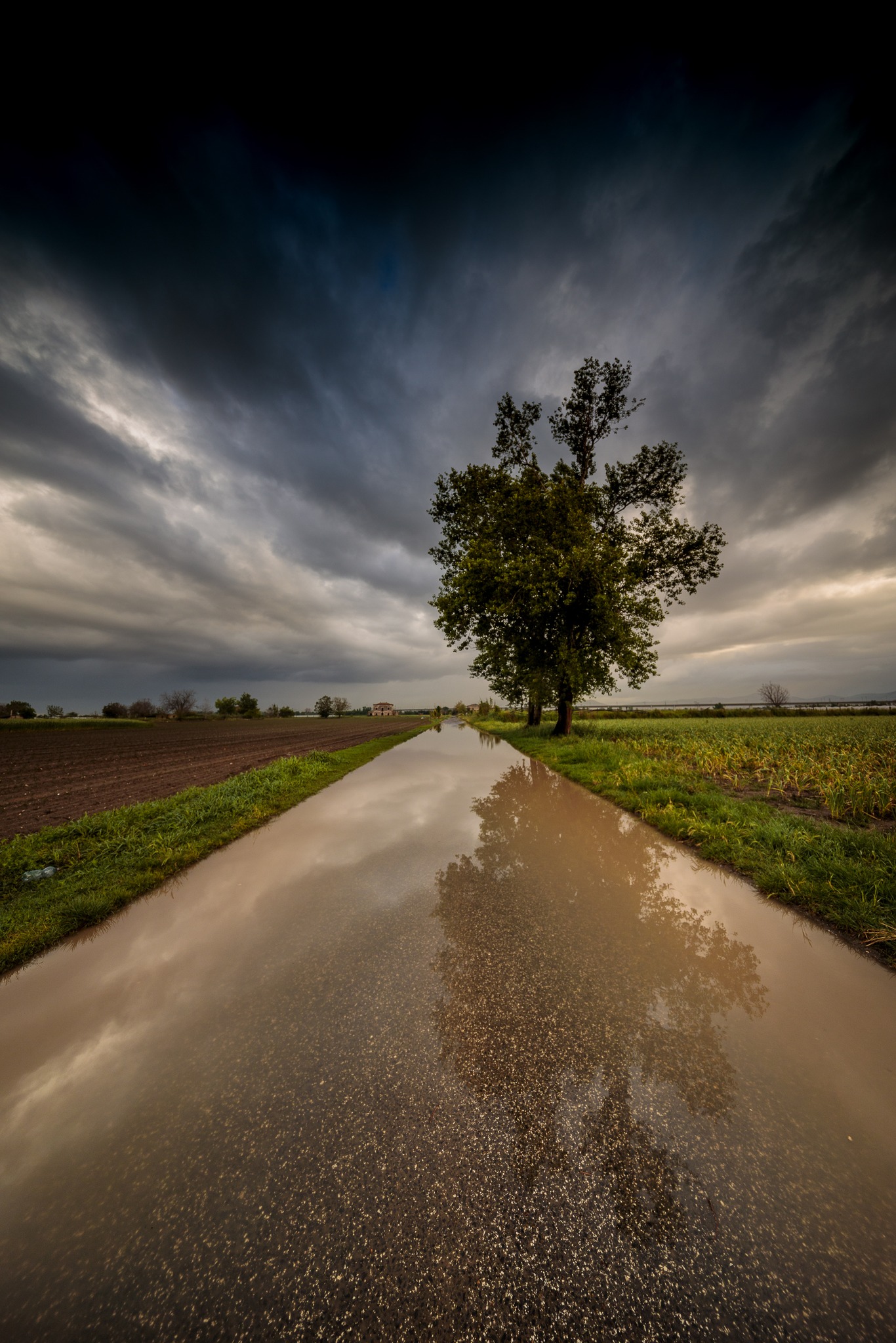 La terra dei friarielli