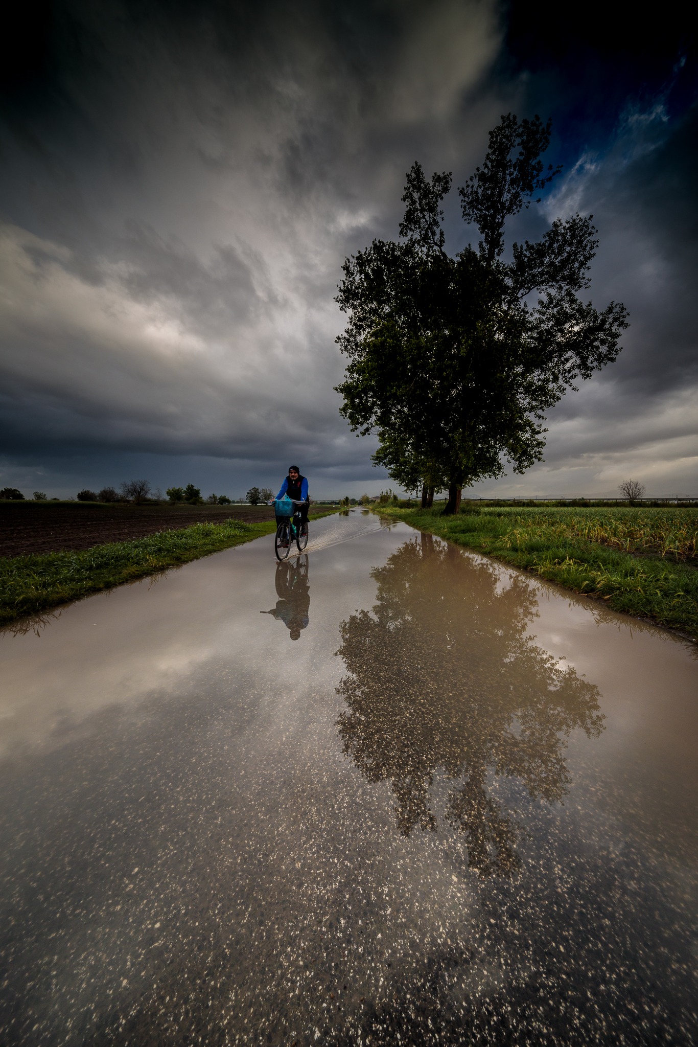 Comm'è bella 'a campagna