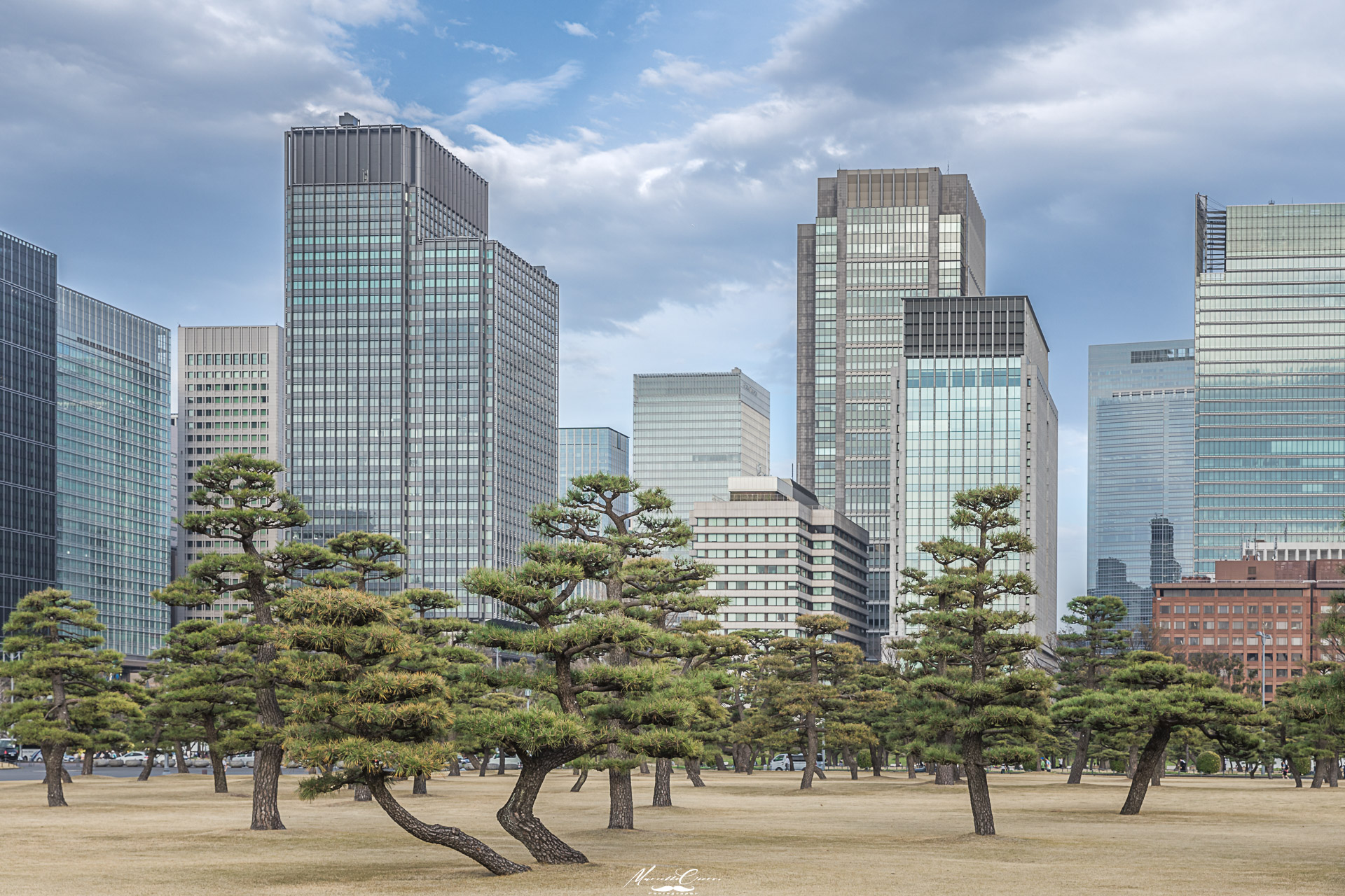 Nel mezzo della meraviglia di Tokyo