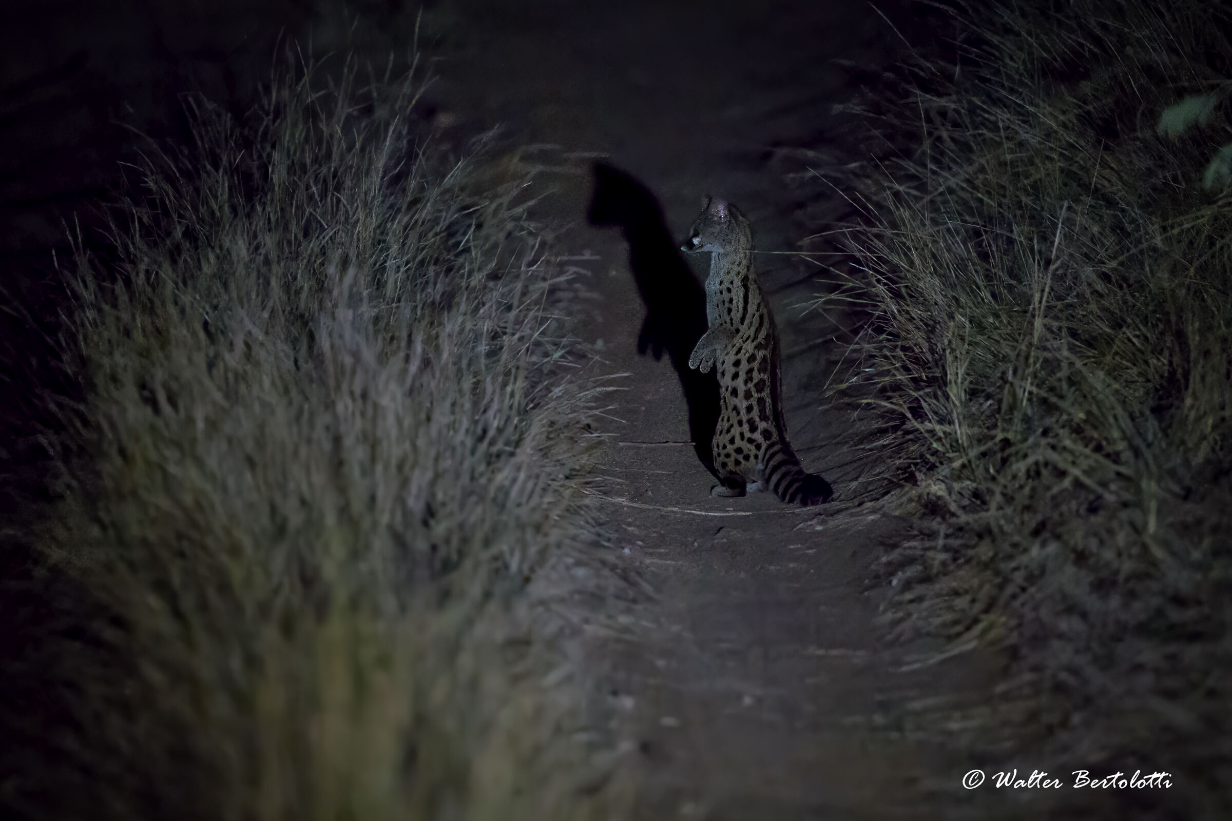 un incontro inaspettato