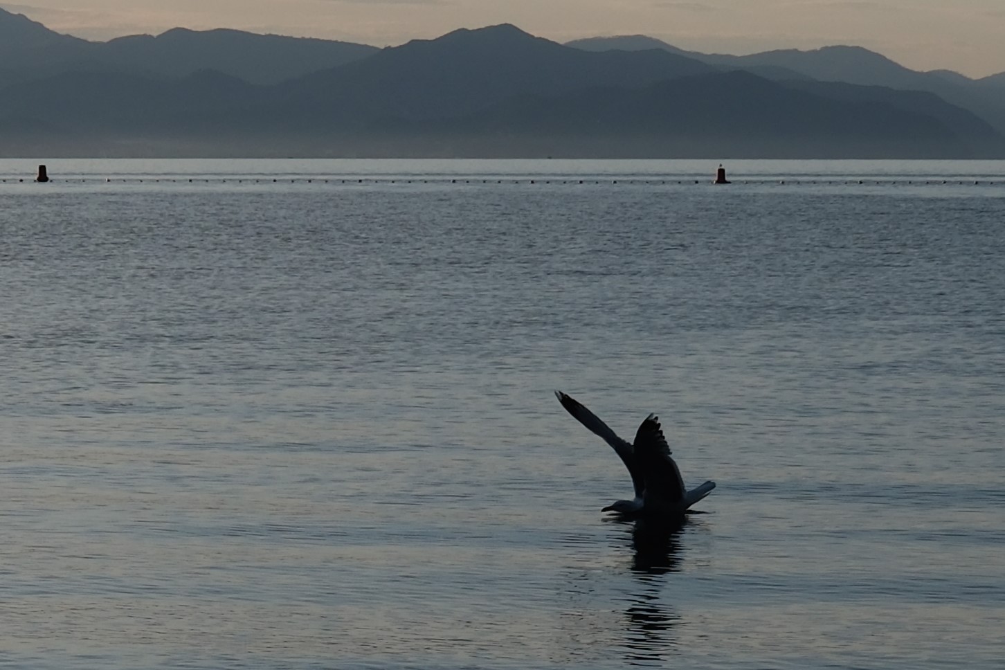 quando pensi: mannaggia avessi un tele