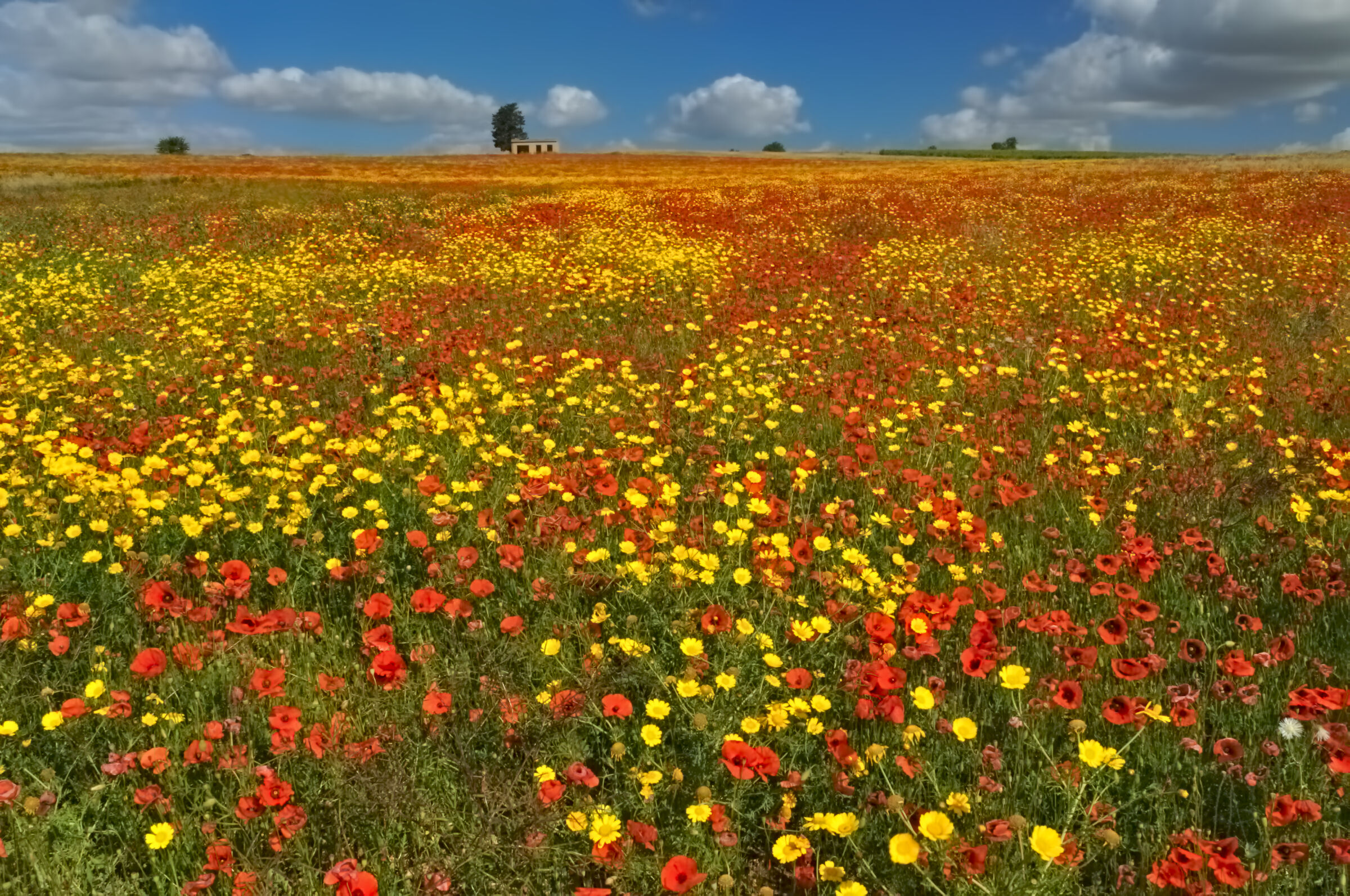 Ascolta l' infinito ...