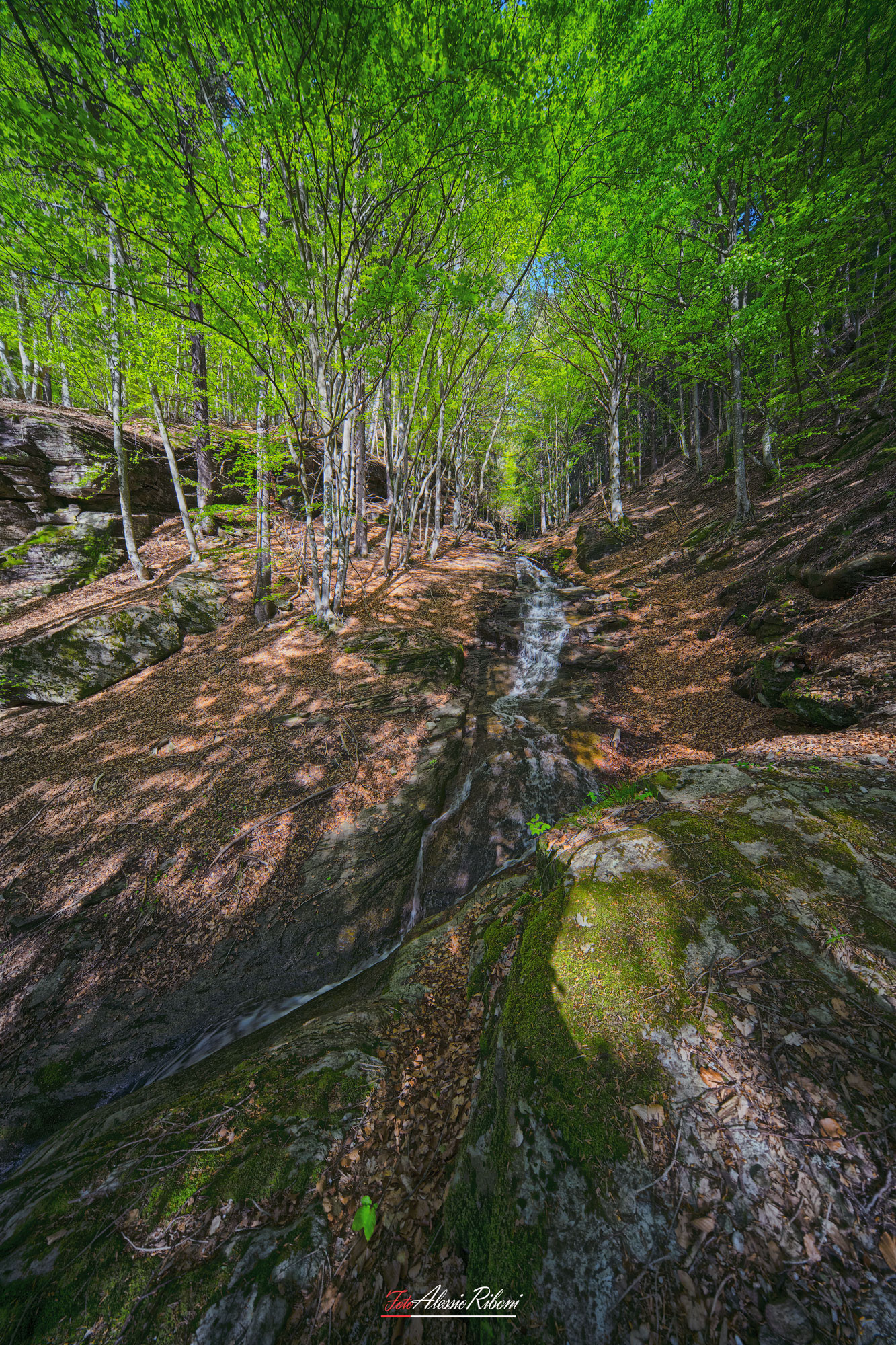 Ossola Val Antigorio