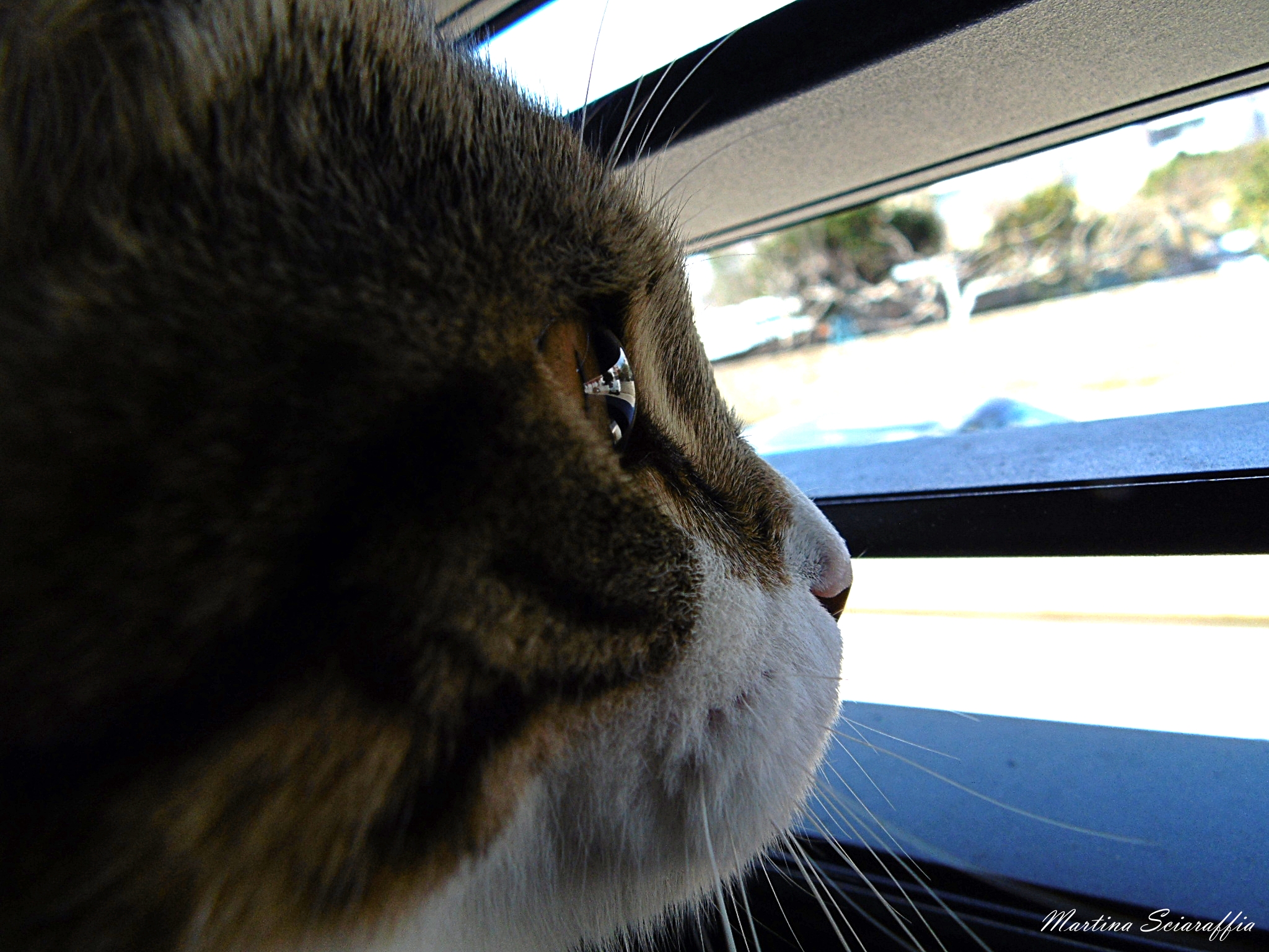 Control from the lookout