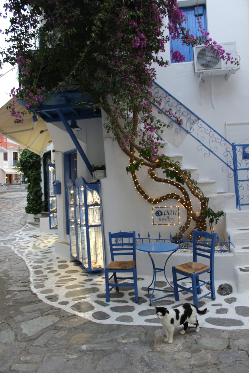 Gatto di Skiathos