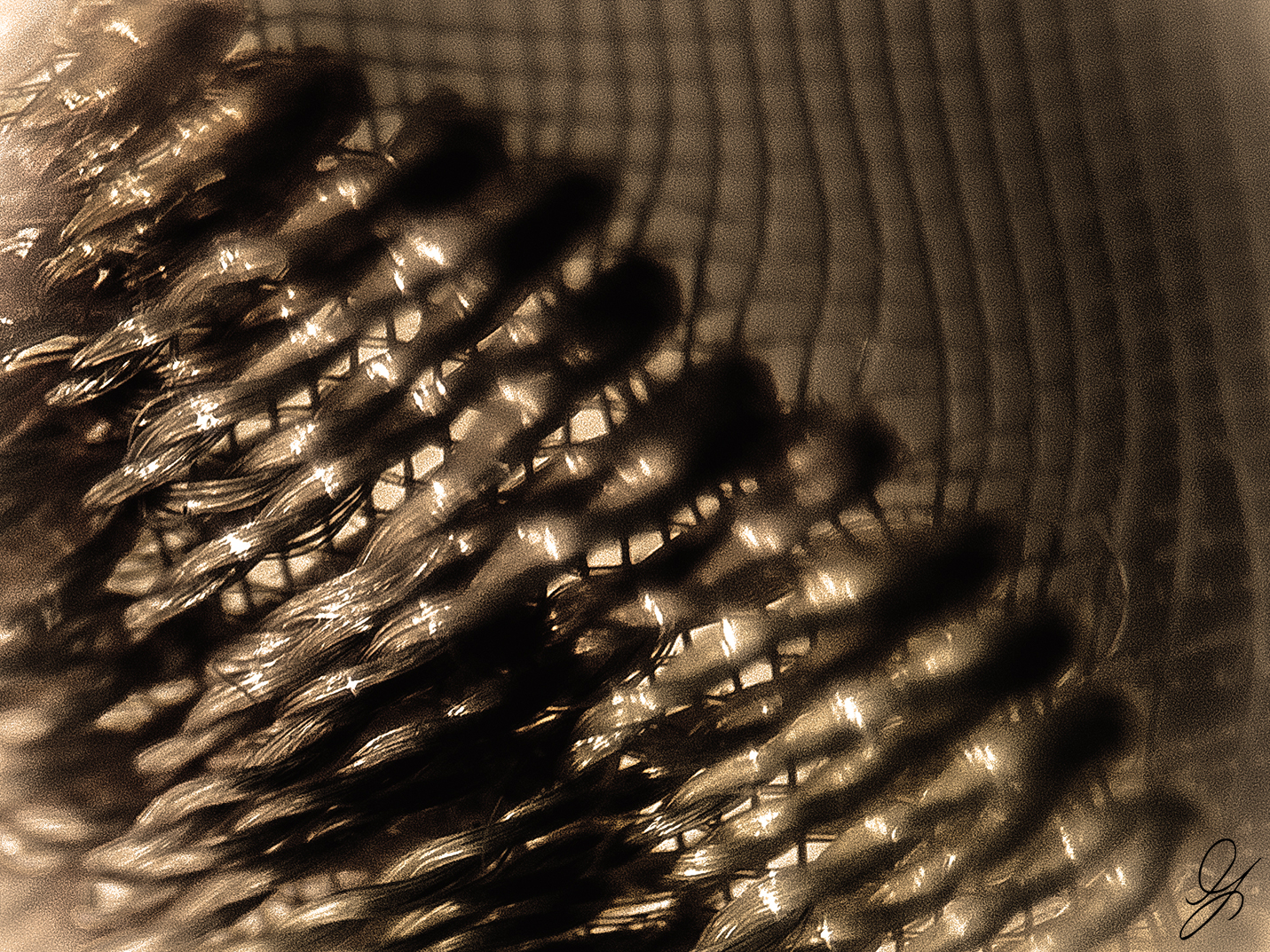 Weaving in the network