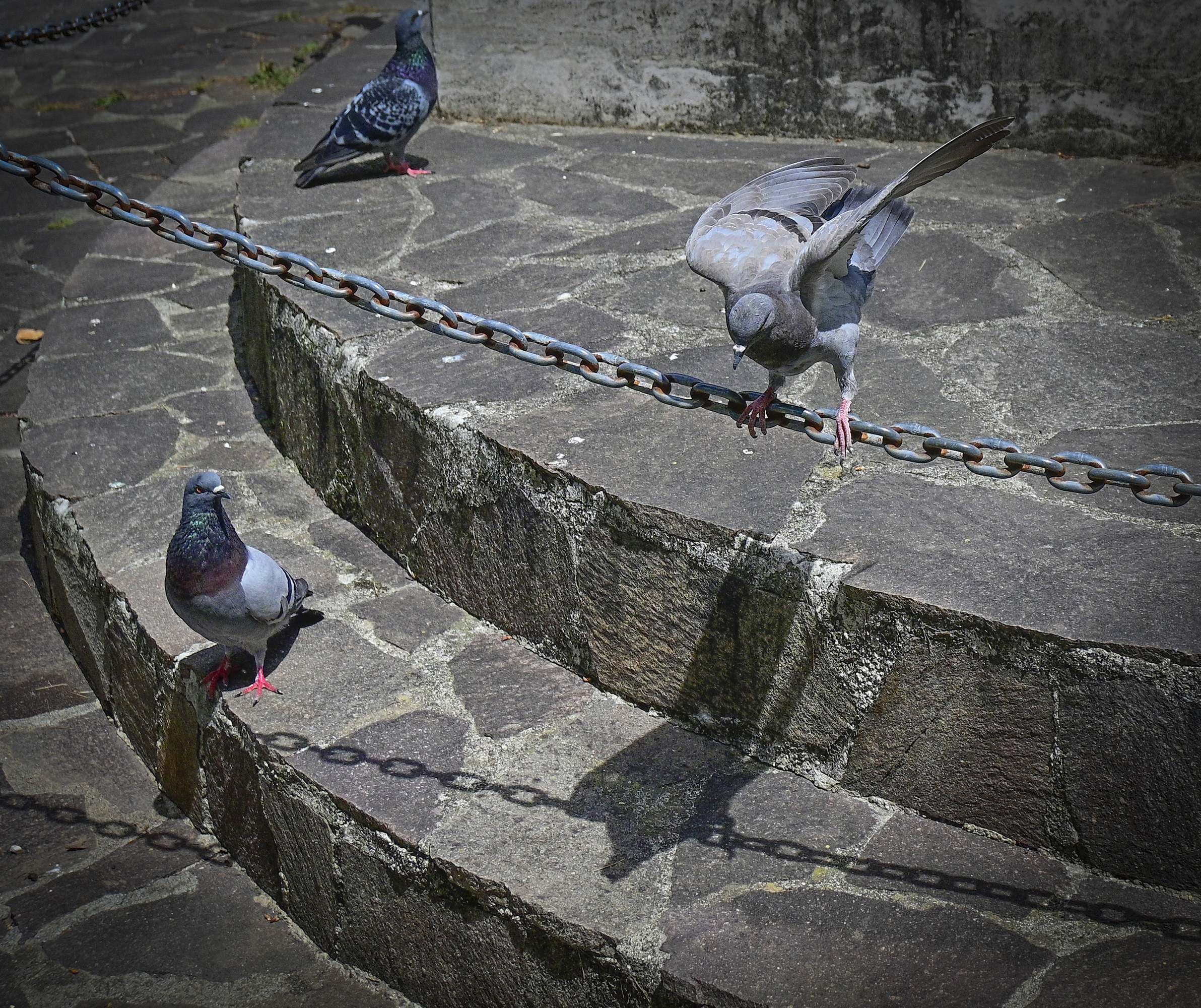 Ehi che fai, ti butti?