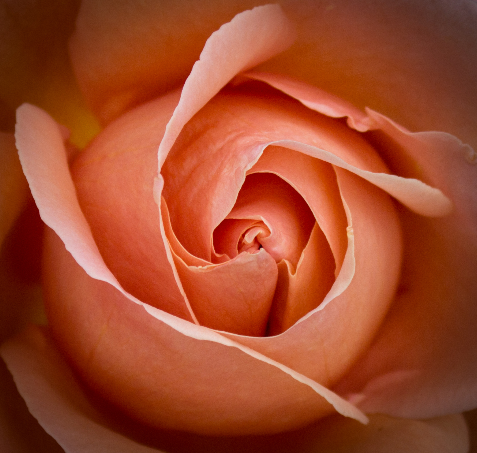 Untitled Photo