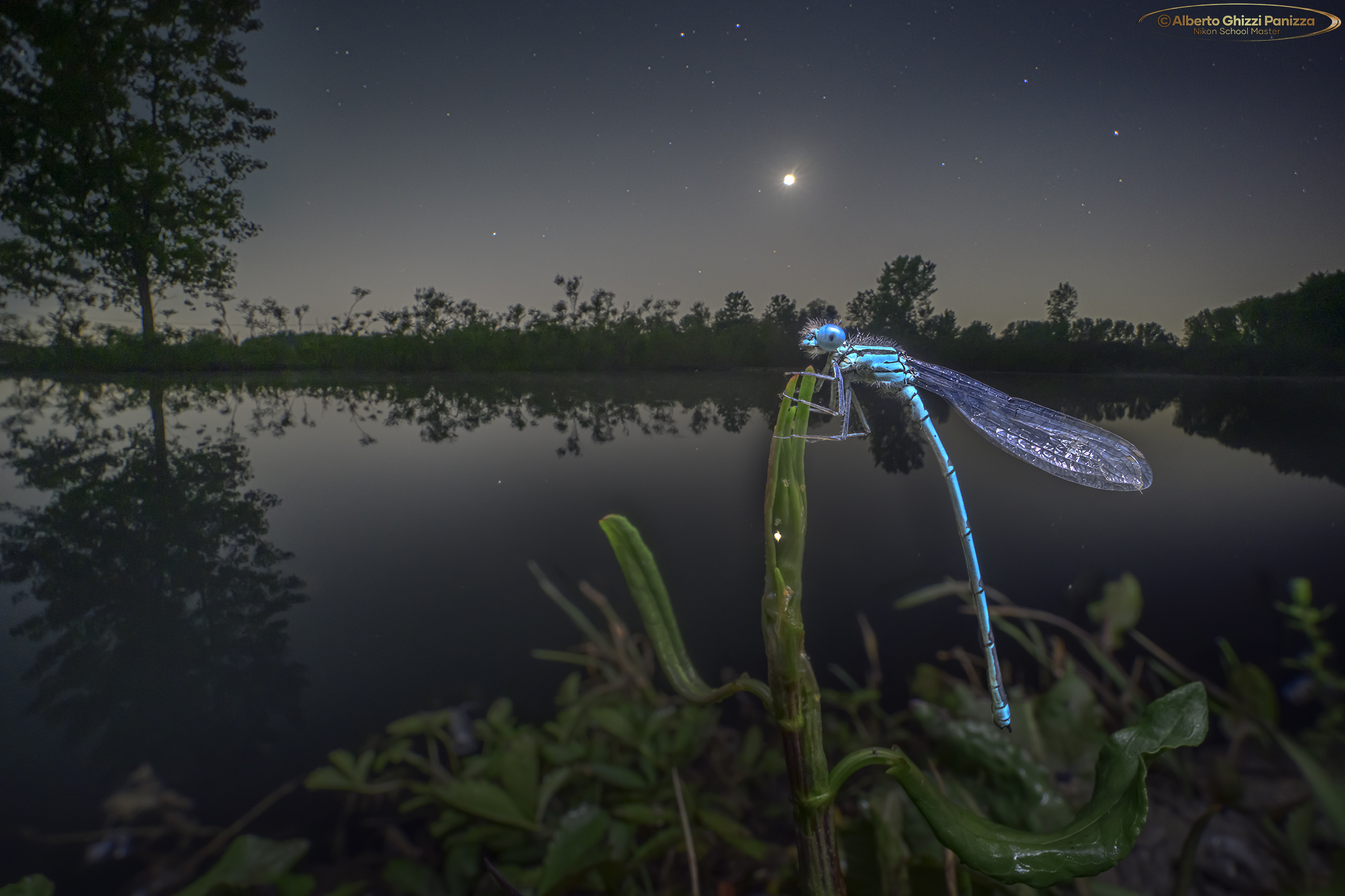Una damigella al chiaro di Luna