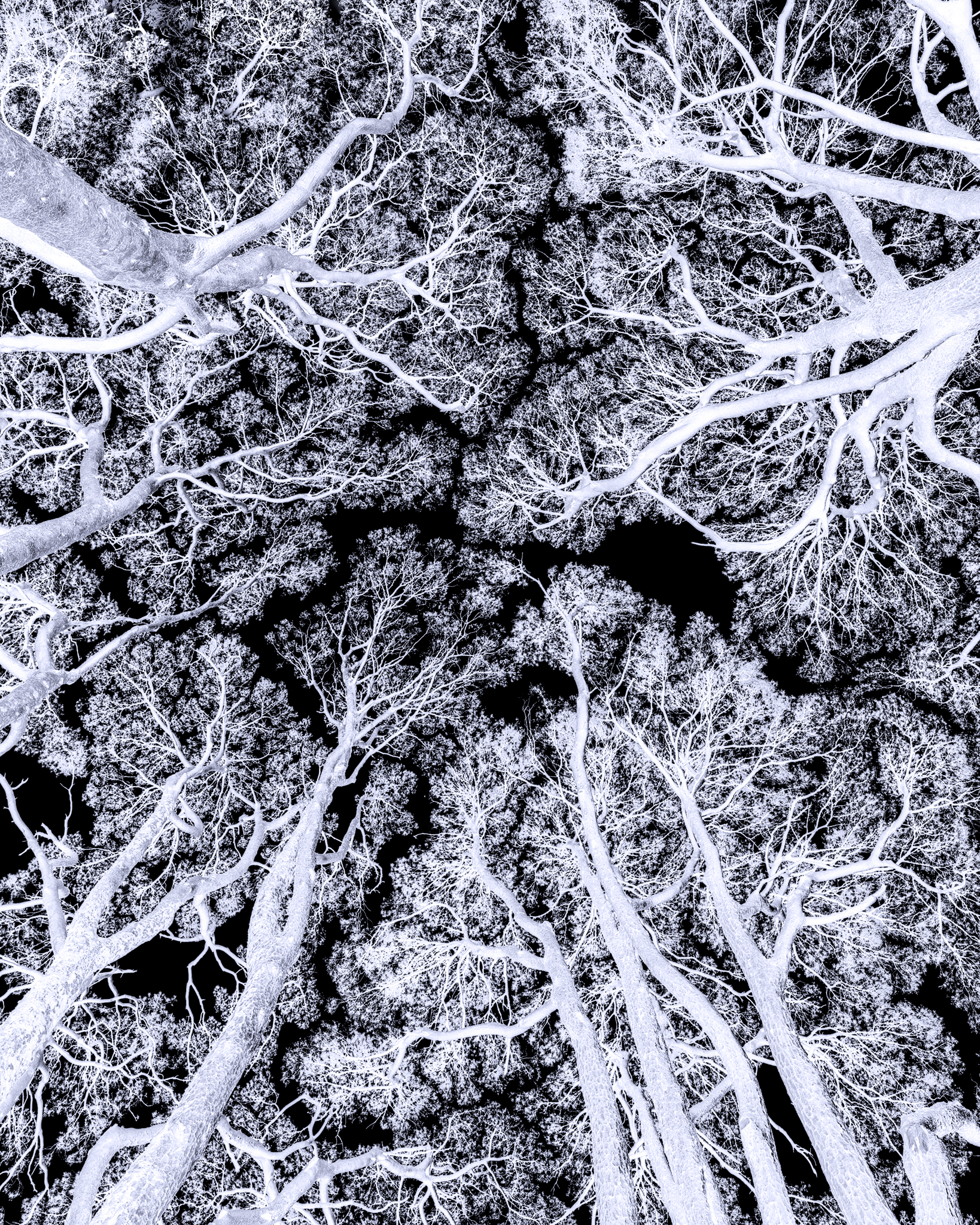 Art in Nature - Ireland