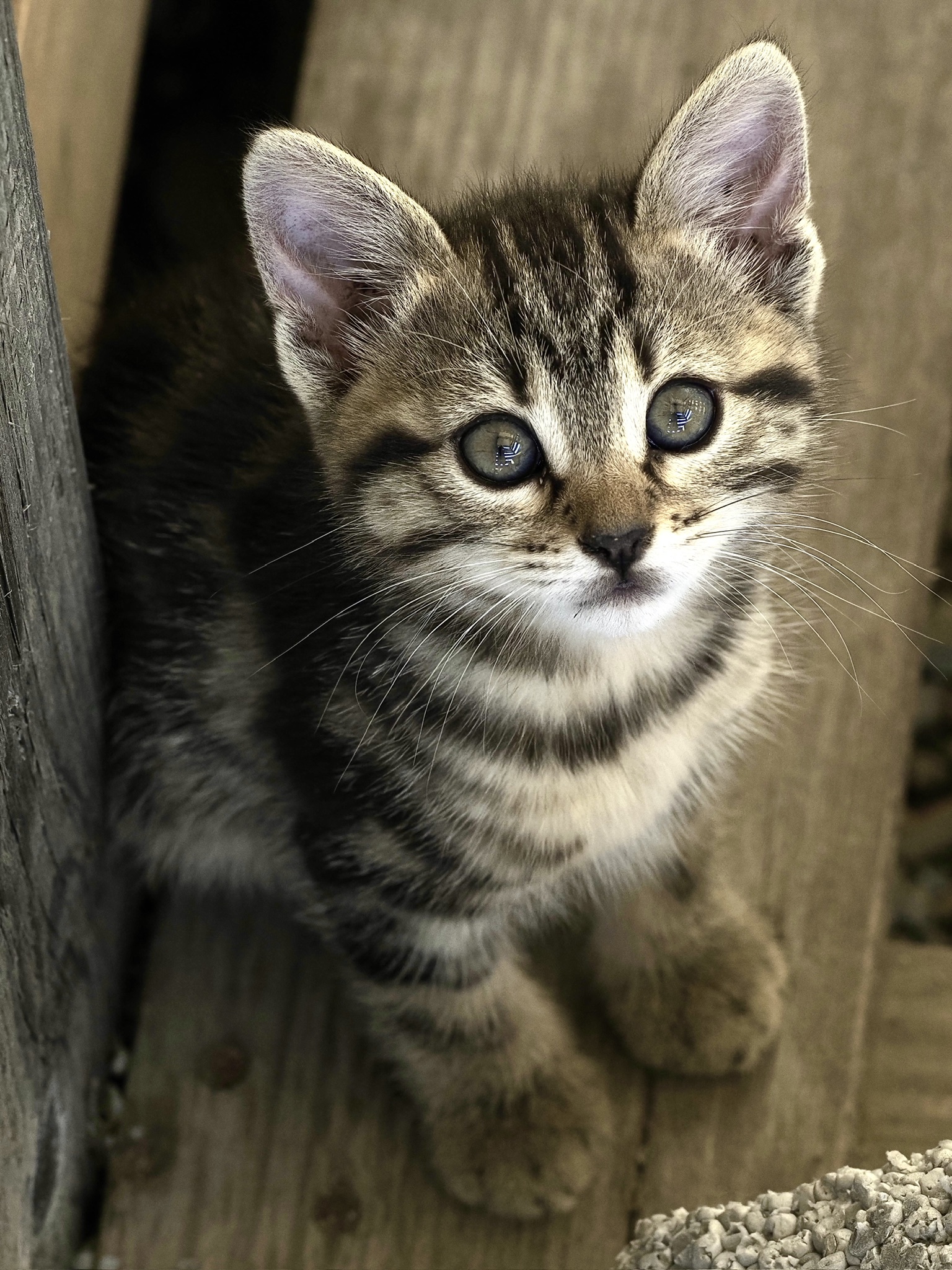 I miei primi 40 giorni…