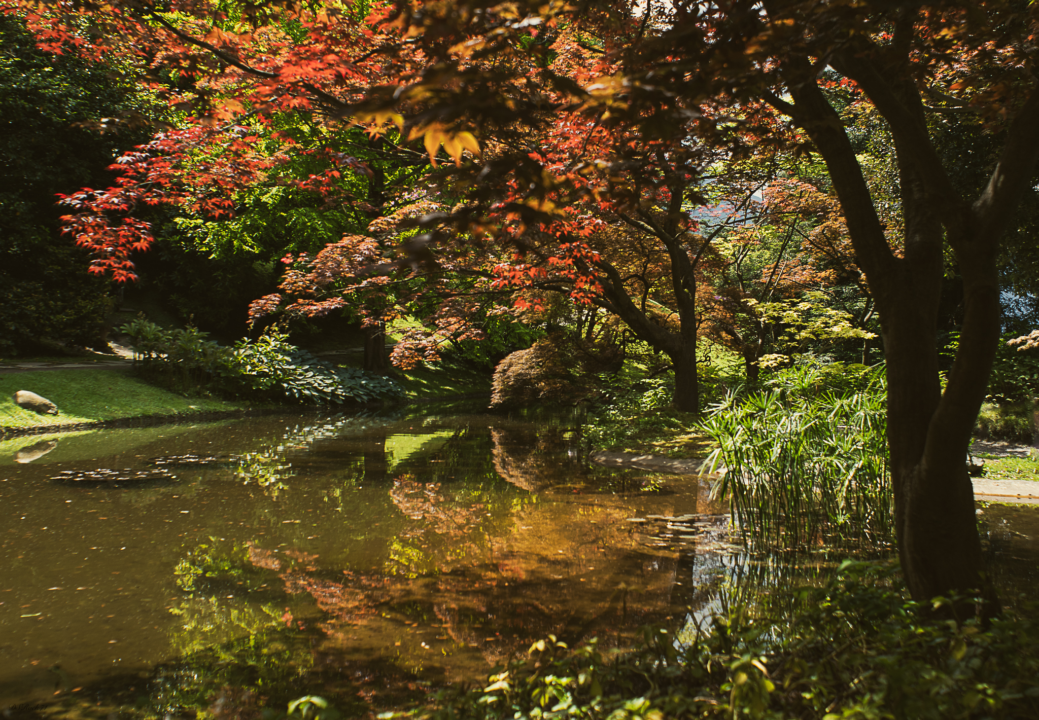 2 passi nei Giardini di Villa Melzi