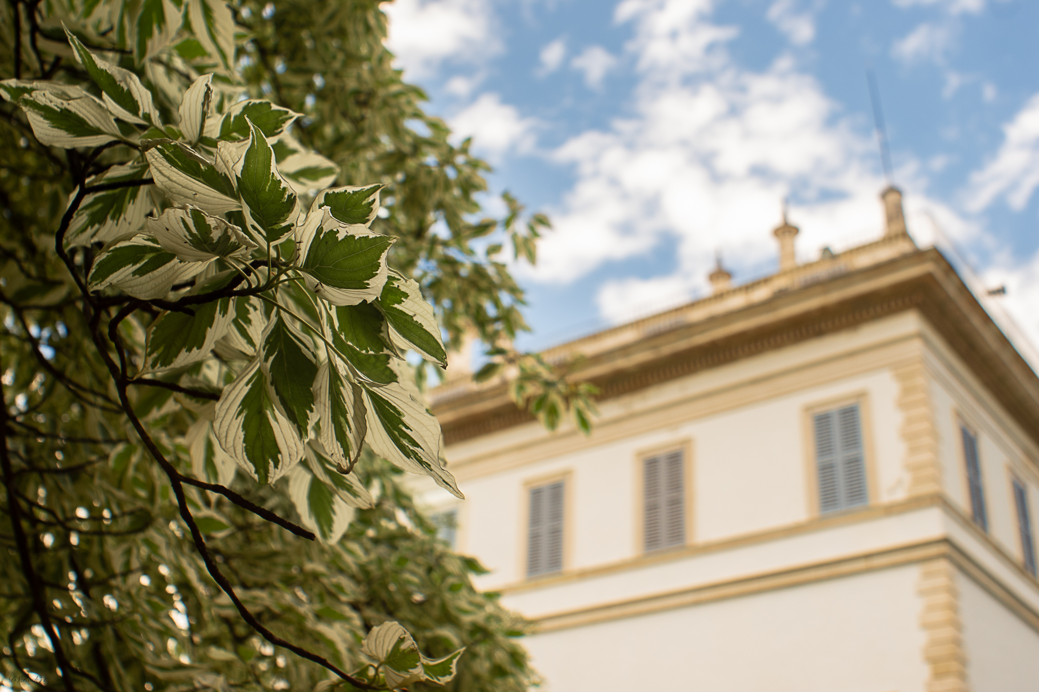 2 passi nei Giardini di Villa Melzi