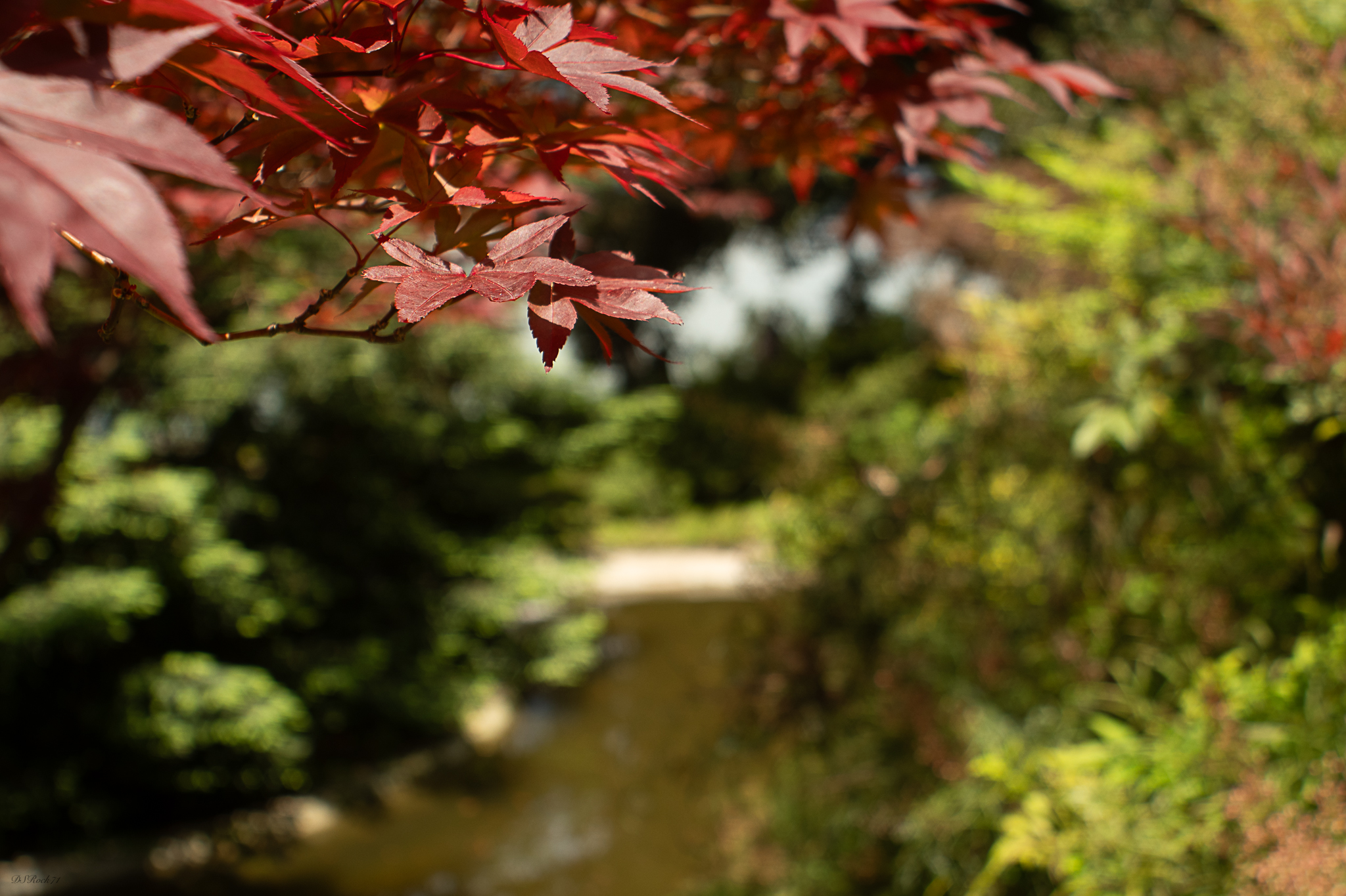 2 passi nei Giardini di Villa Melzi