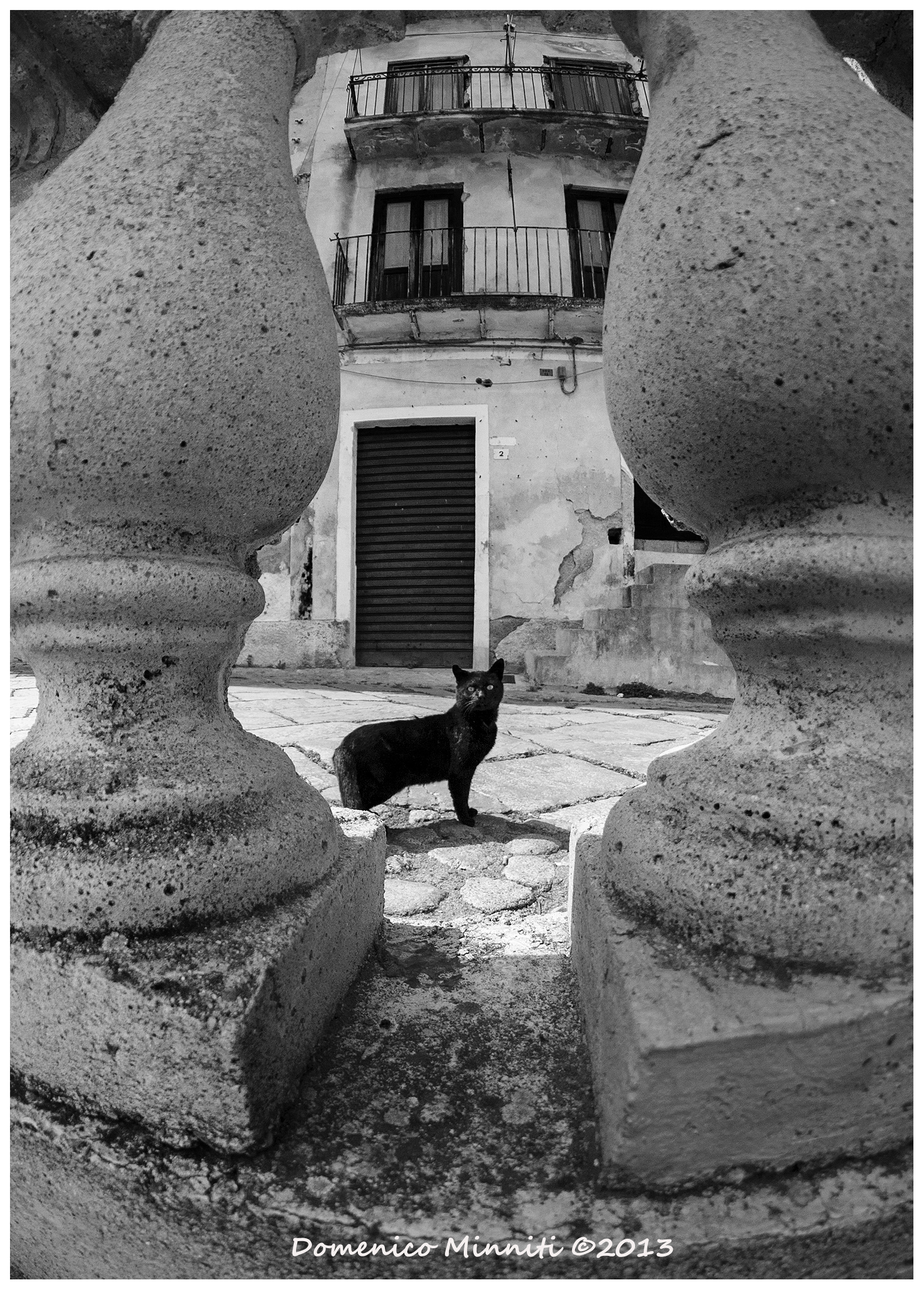 Le chat noir