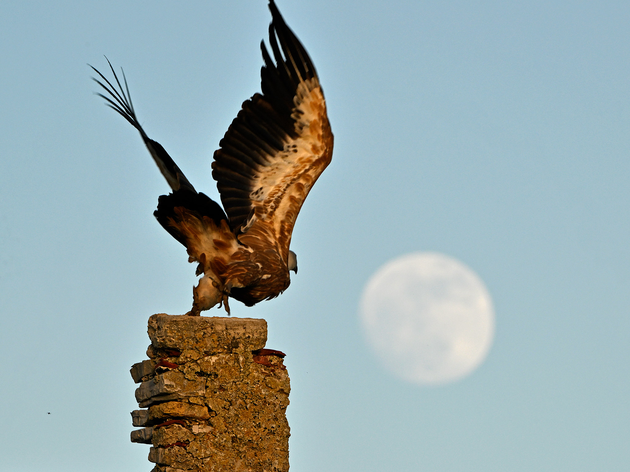 prossima fermata... La Luna