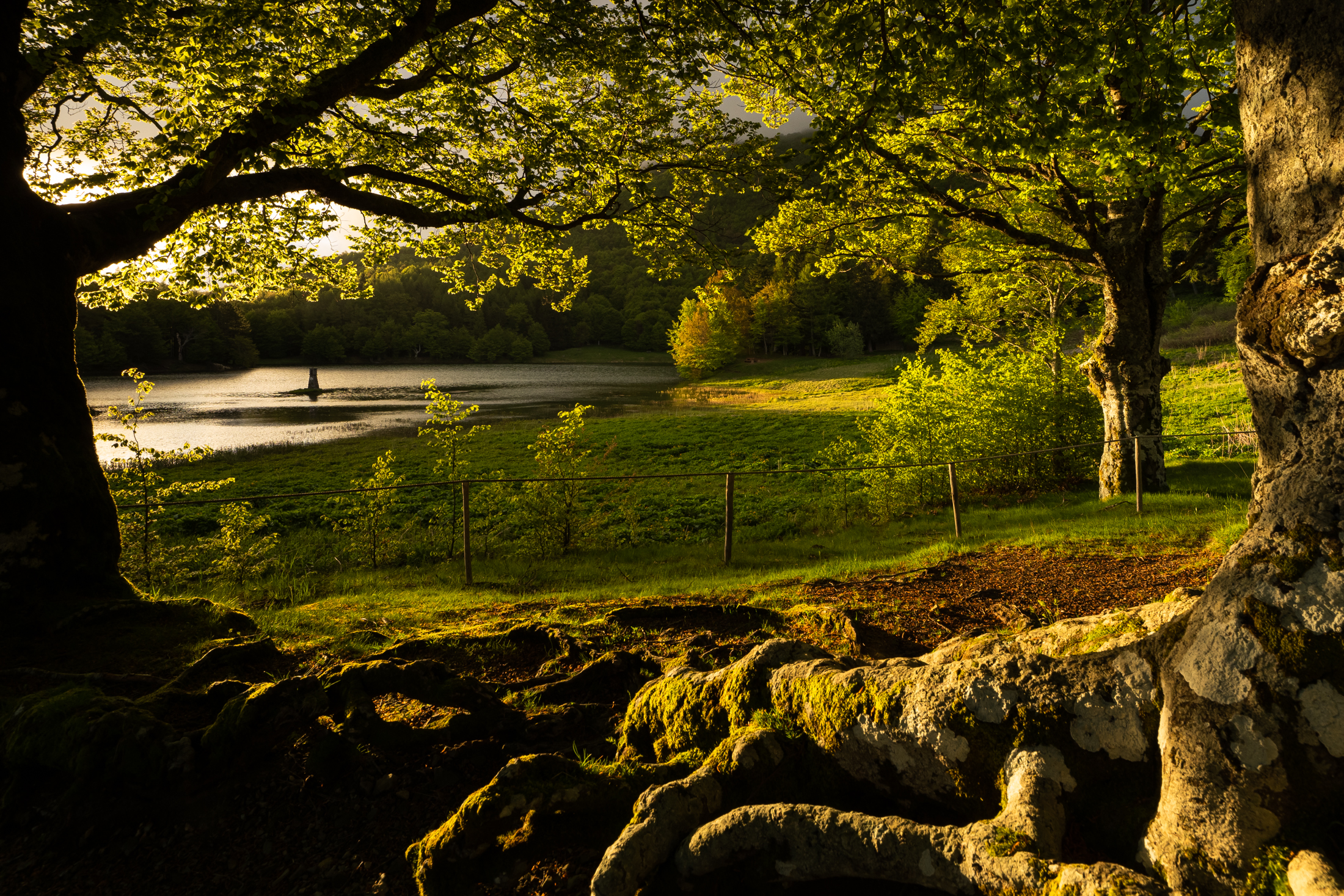 Sei più bello con il sole del mattino