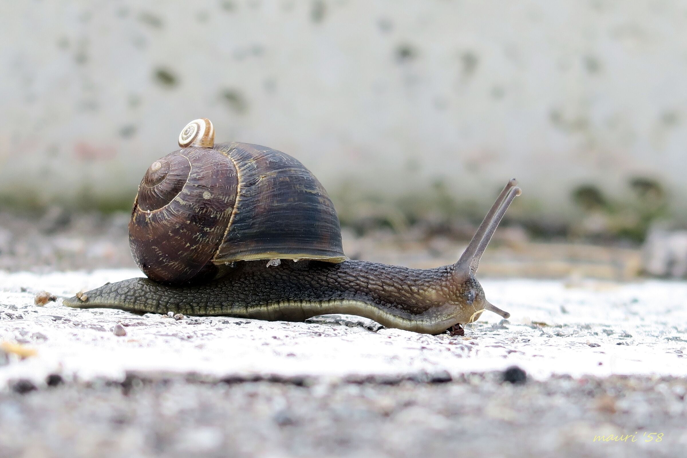 It's going to be a long journey